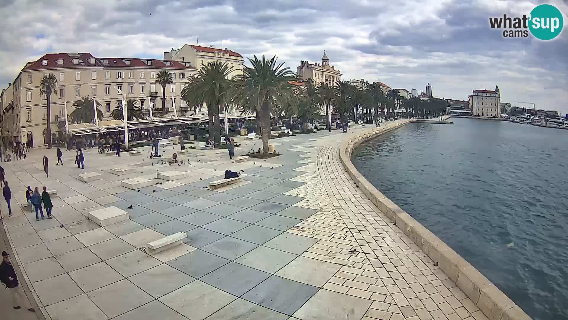 Webcam Split Riva – Prokurative | Trg Republike
