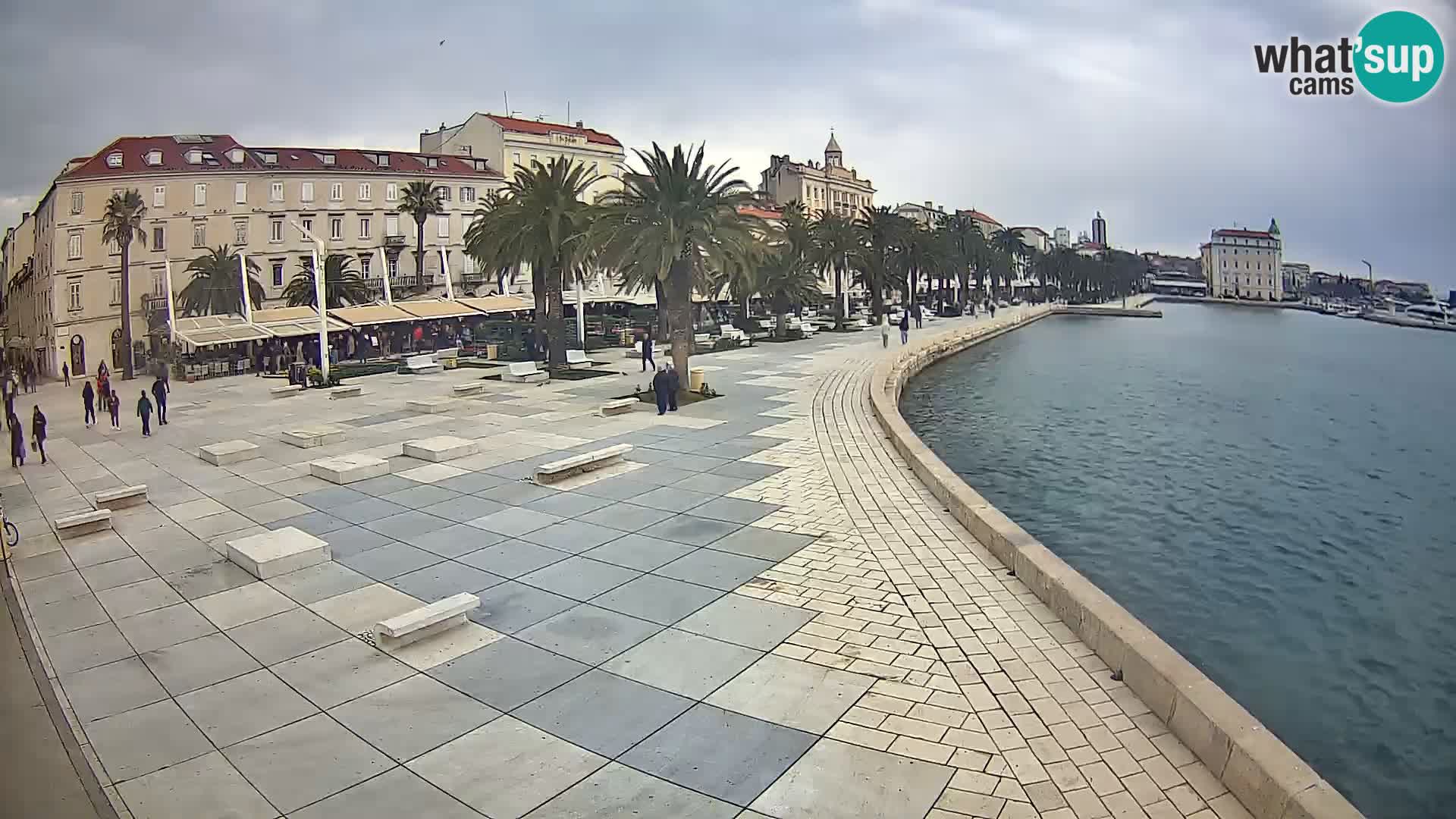 Webcam Split Riva – Prokurative | Trg Republike