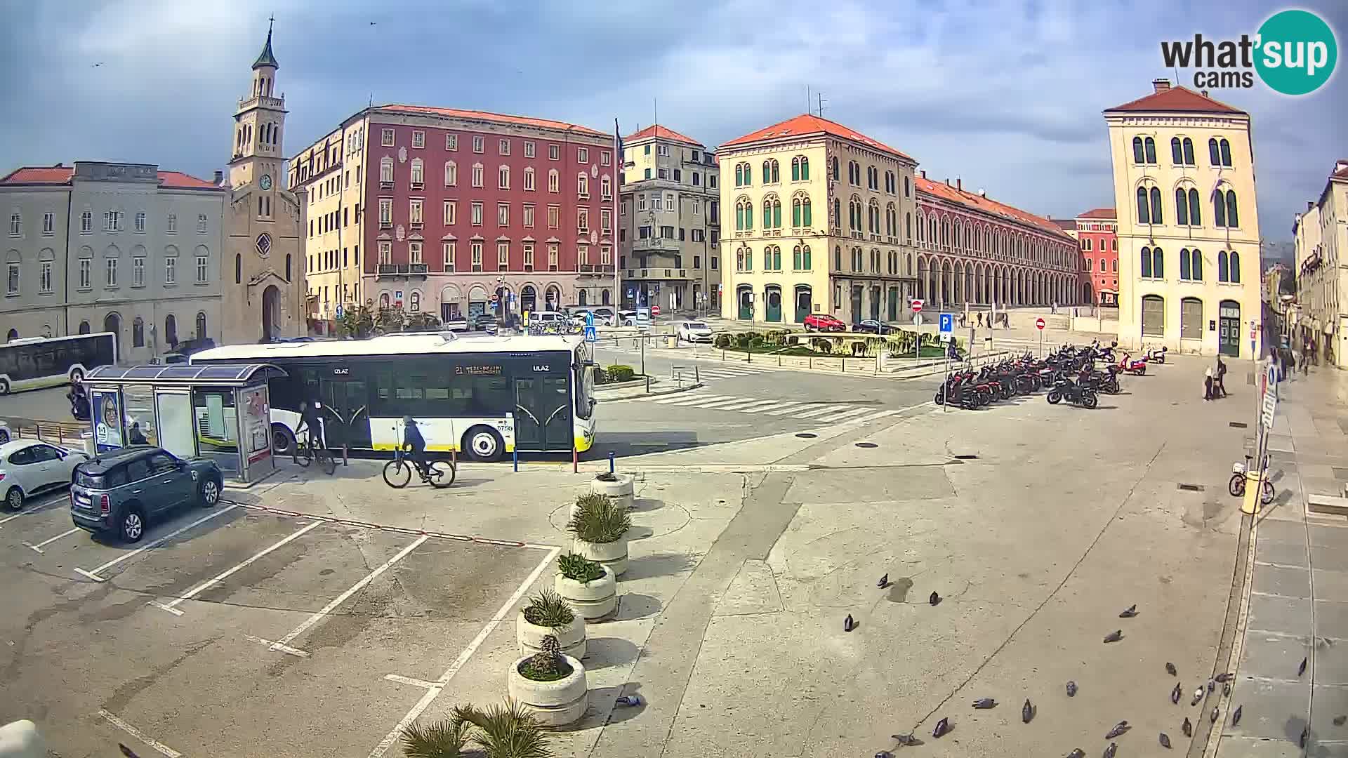 Webcam Split Riva – Prokurative | Trg Republike