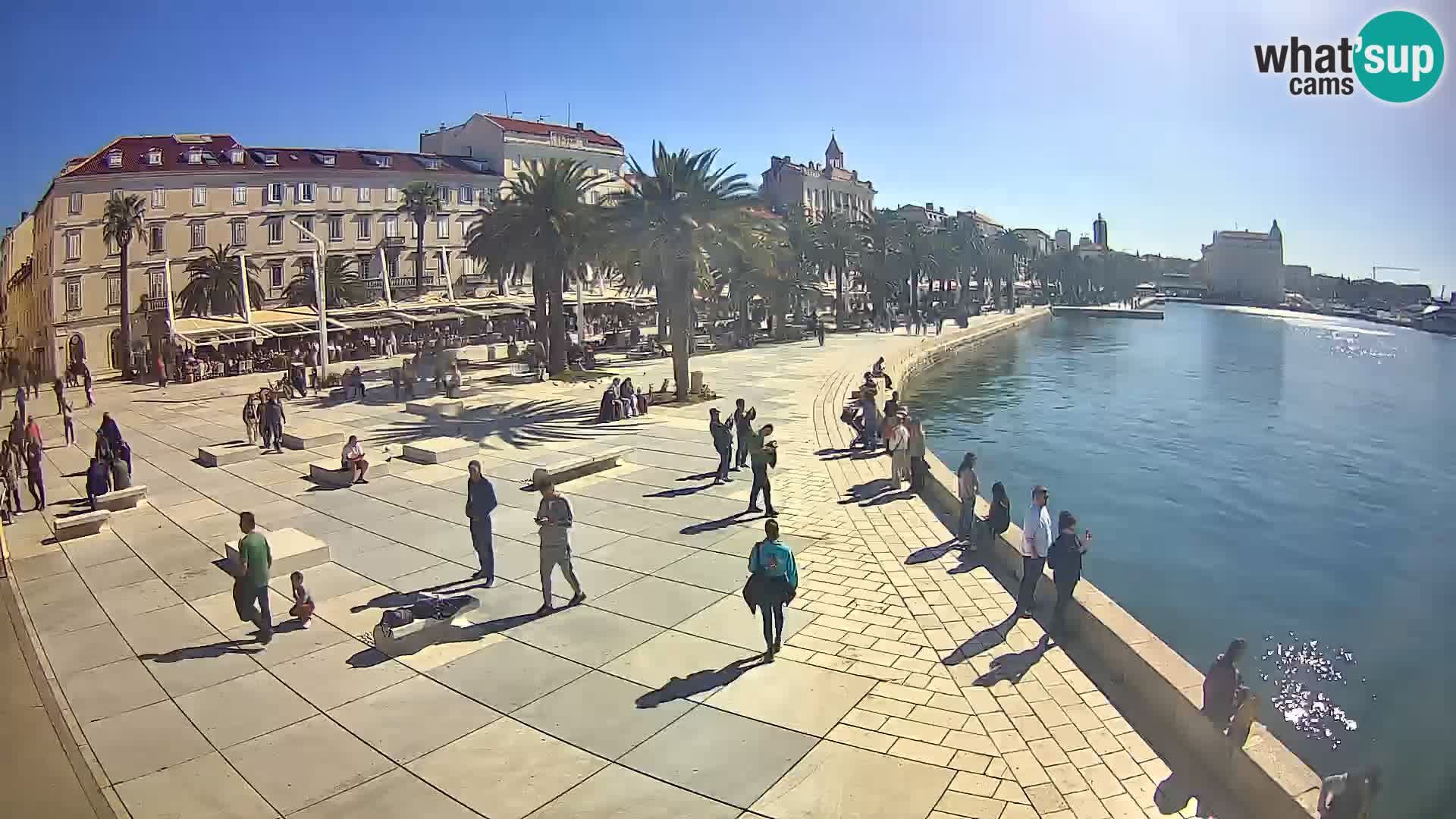 Webcam Split Riva – Prokurative | Trg Republike
