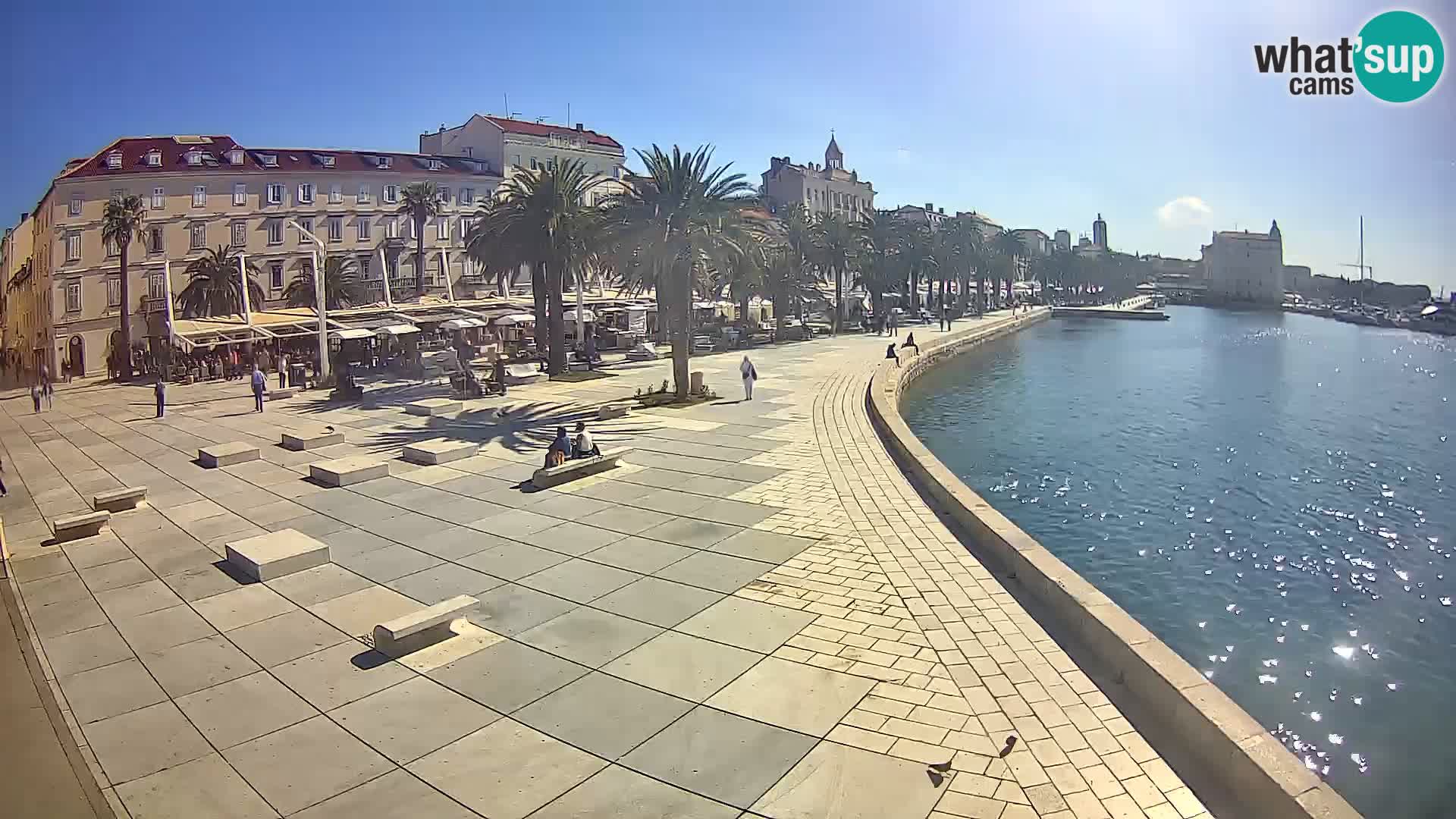 Webcam Split Riva – Prokurative | Trg Republike