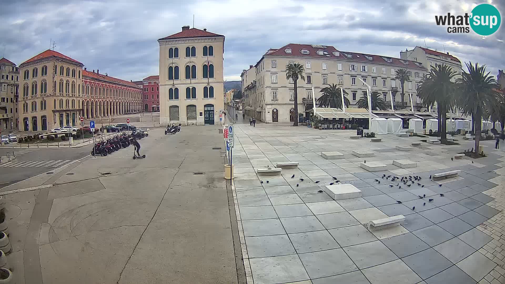 Webcam Split Riva – Prokurative | Trg Republike