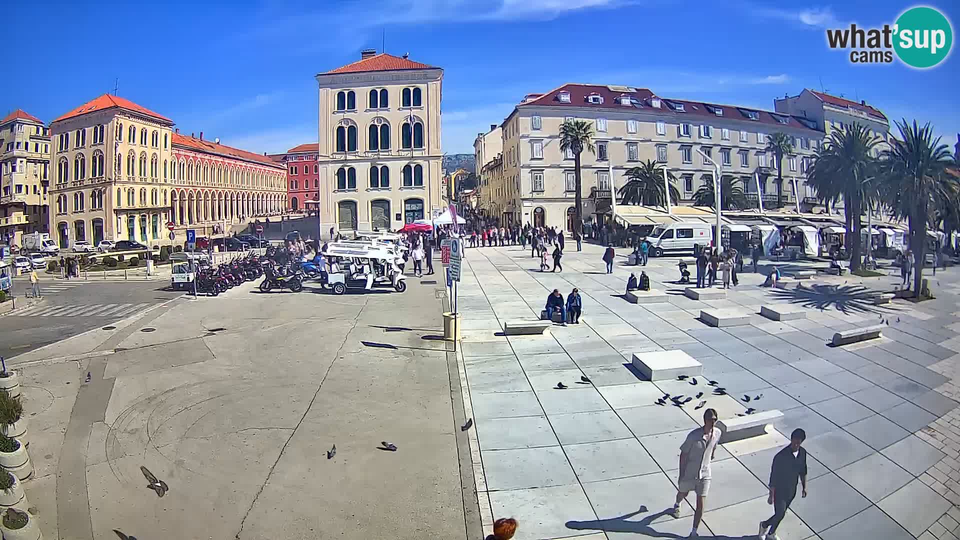 Webcam Split Riva – Prokurative | Trg Republike