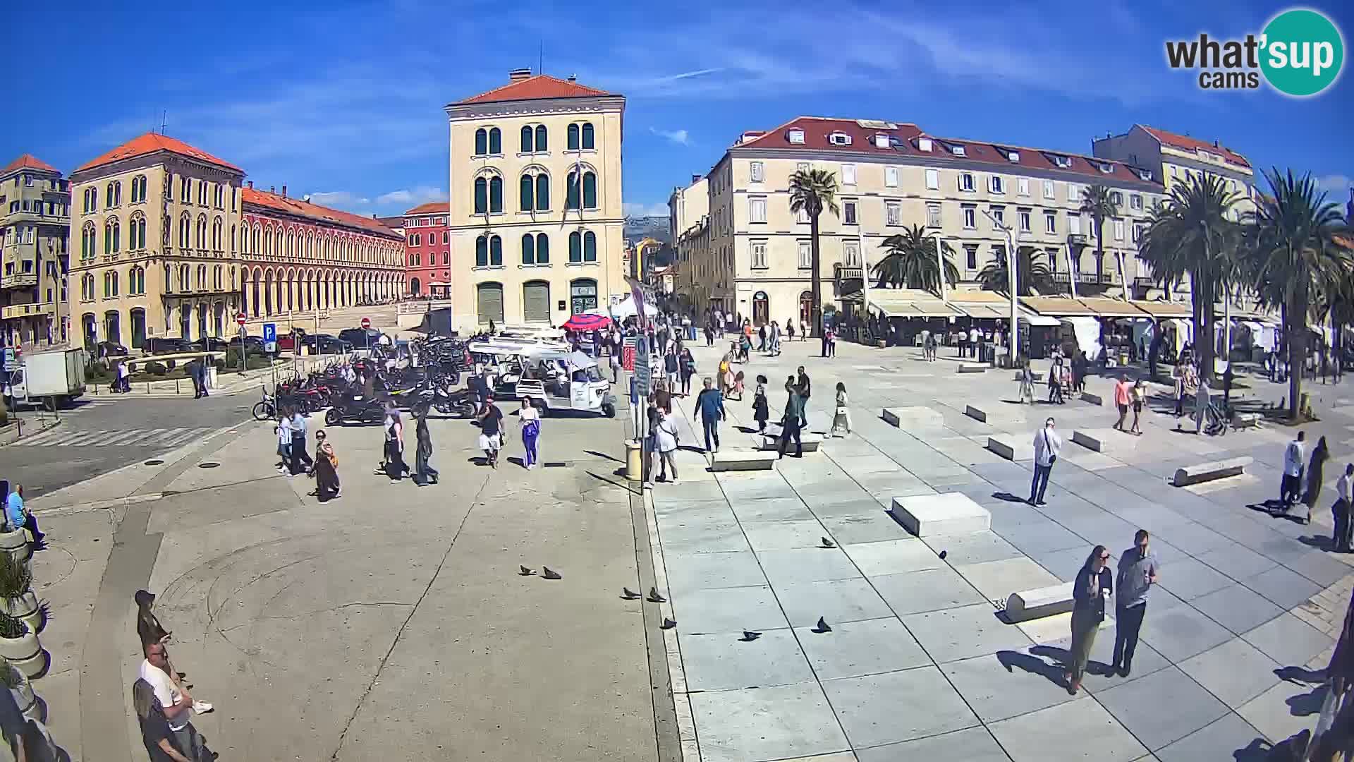 Webcam Split Riva – Prokurative | Trg Republike