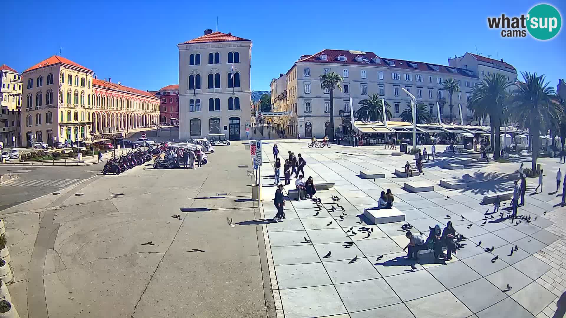 Webcam Split Riva – Prokurative | Trg Republike