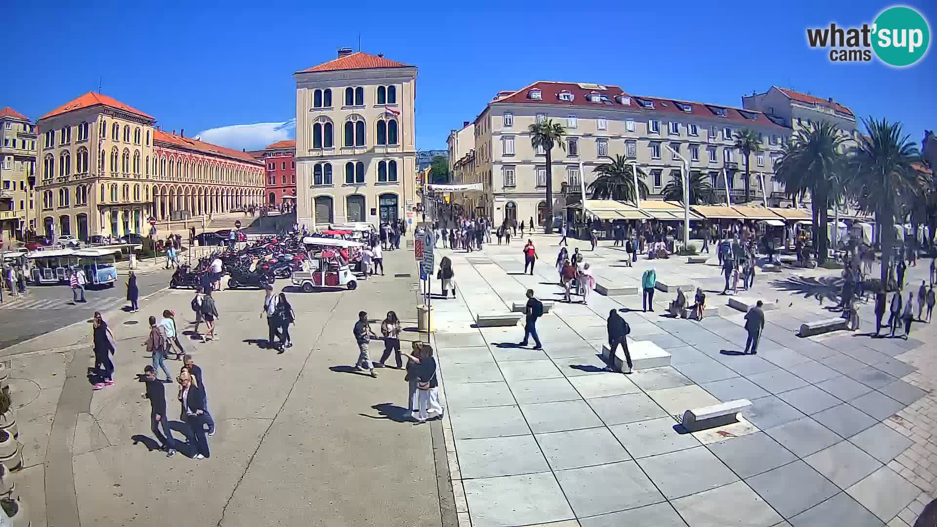 Webcam Split Riva – Prokurative | Trg Republike