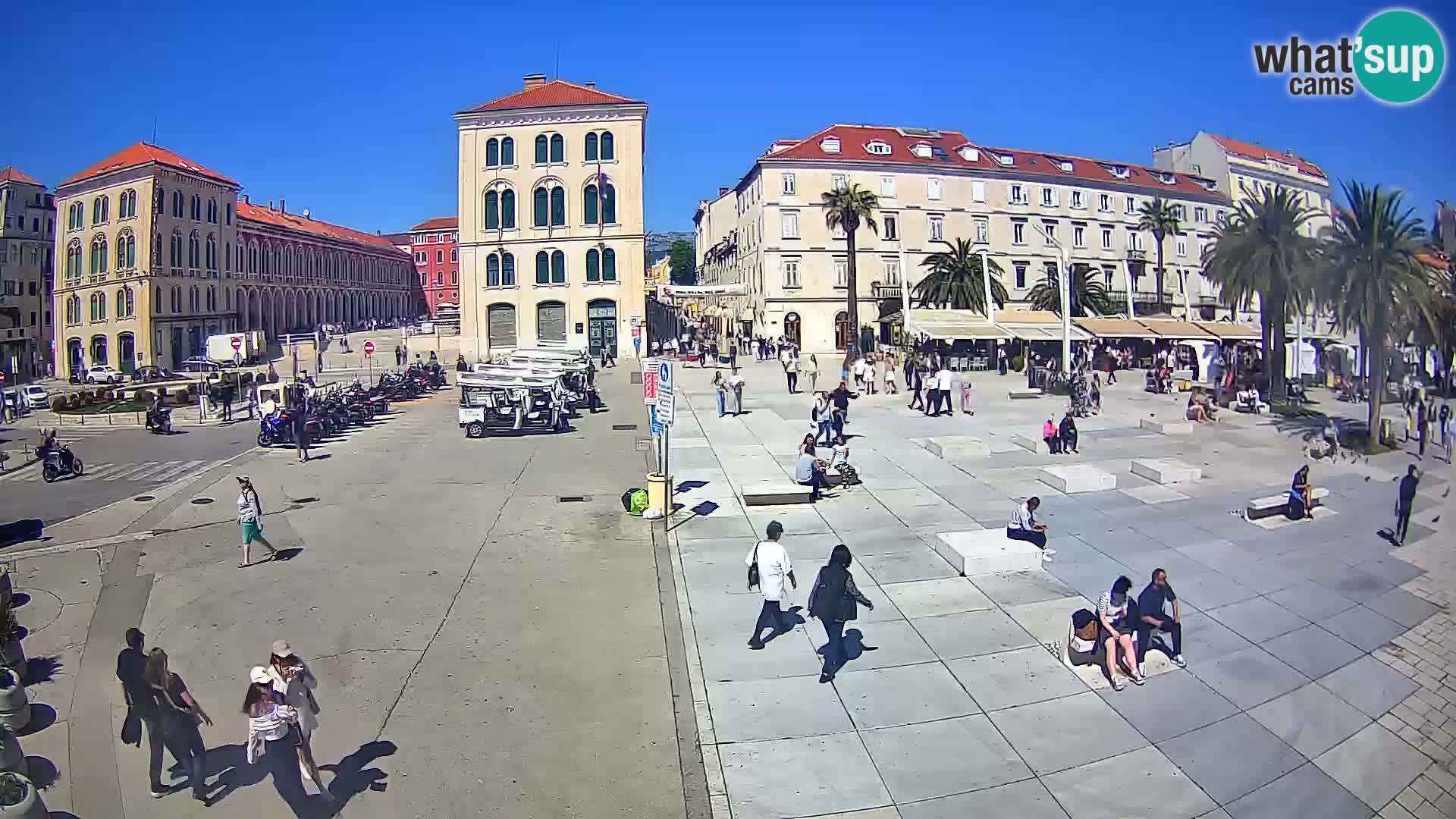 Webcam Split Riva – Prokurative | Trg Republike
