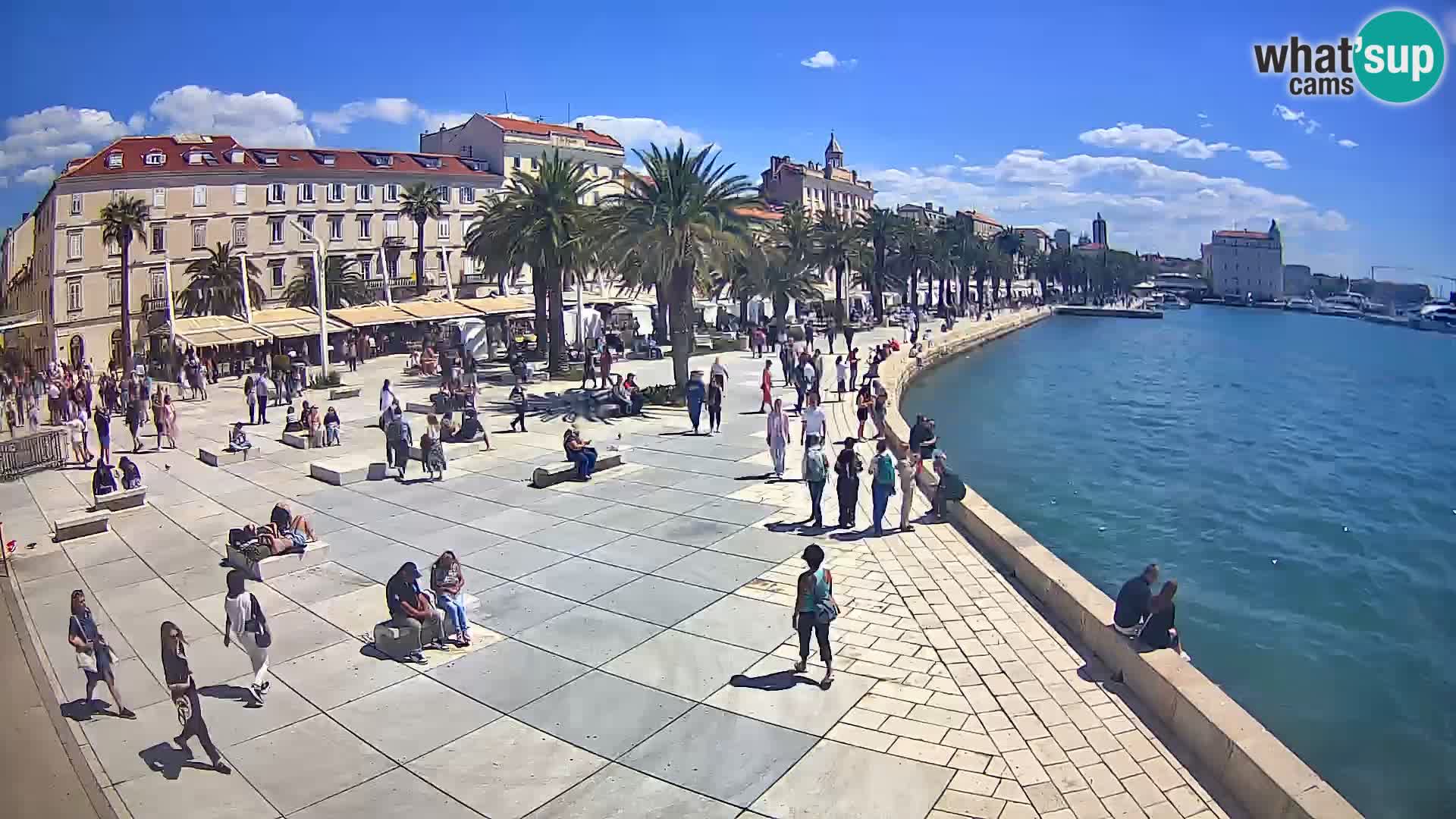 Webcam Spalato Riva – Prokurative | Piazza della Republika