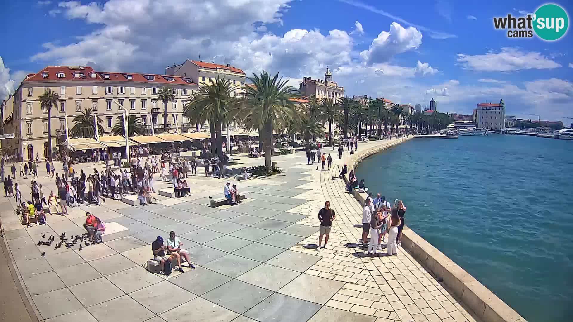 Webcam Split Riva – Prokurative | Trg Republike