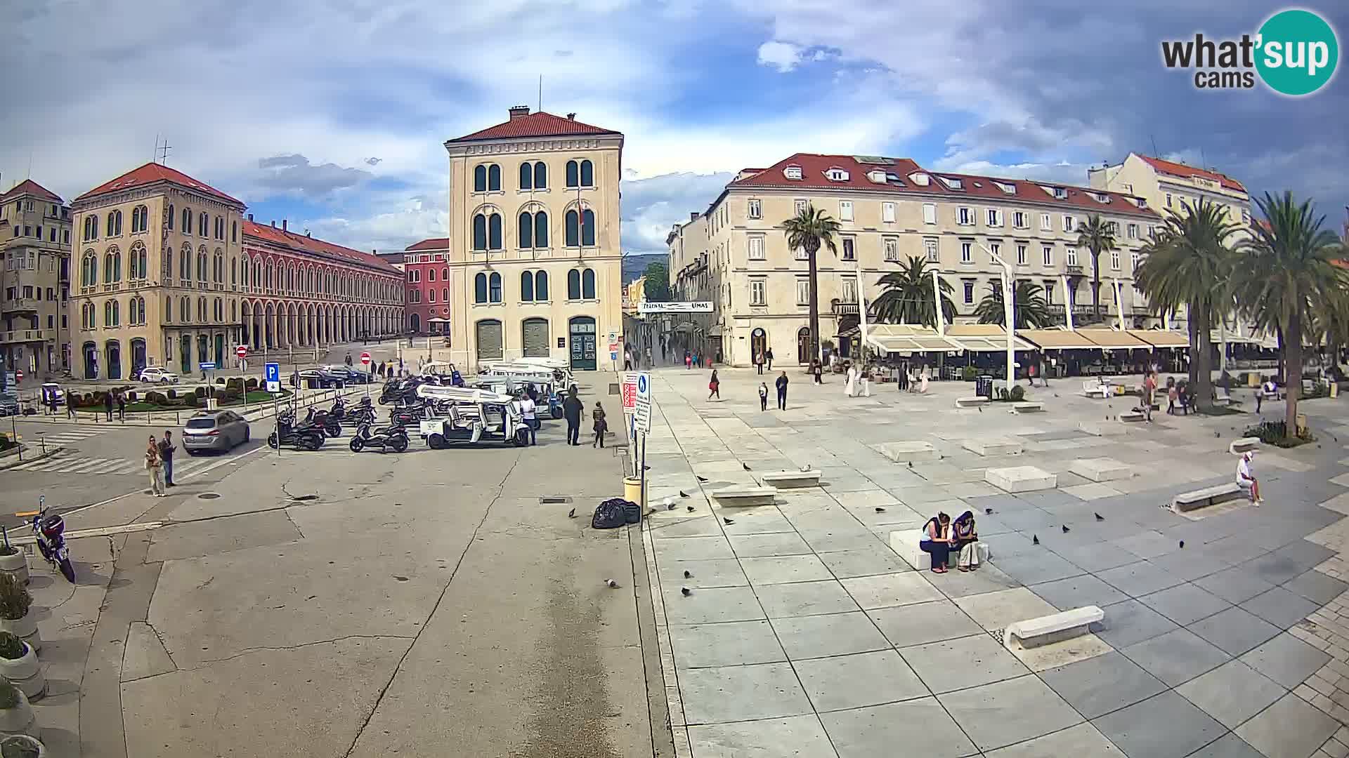 Webcam Split Riva – Prokurative | Trg Republike