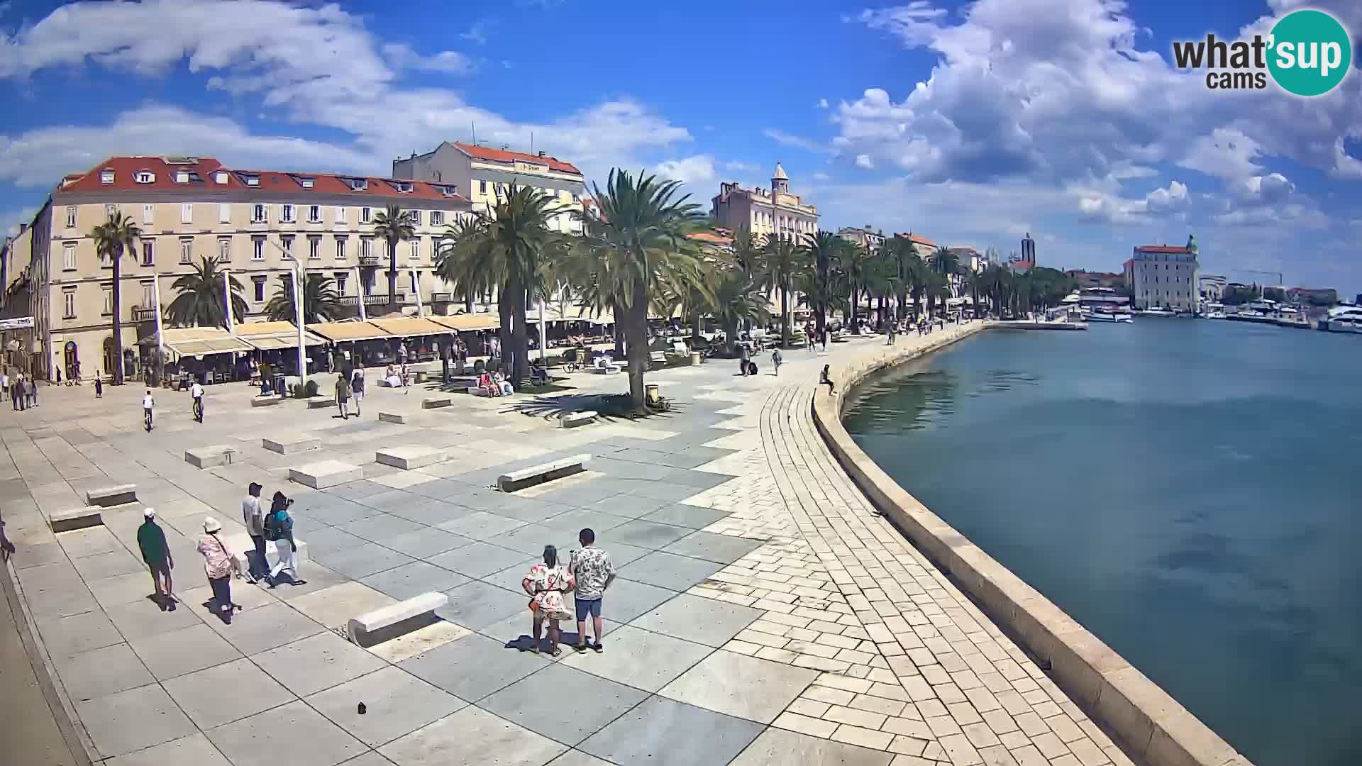 Webcam Split Riva – Prokurative | Trg Republike