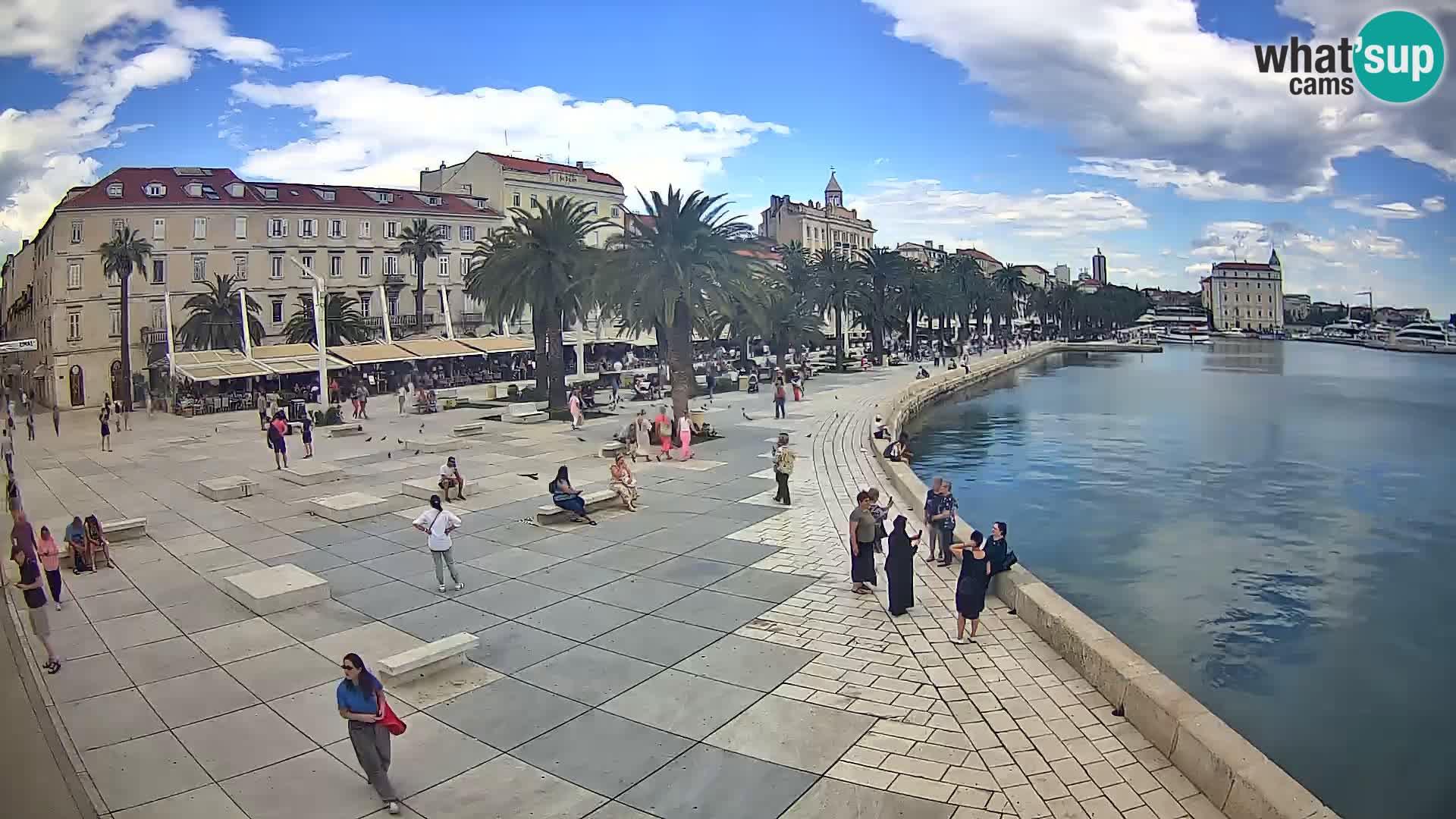 Webcam Split Riva – Prokurative | Trg Republike