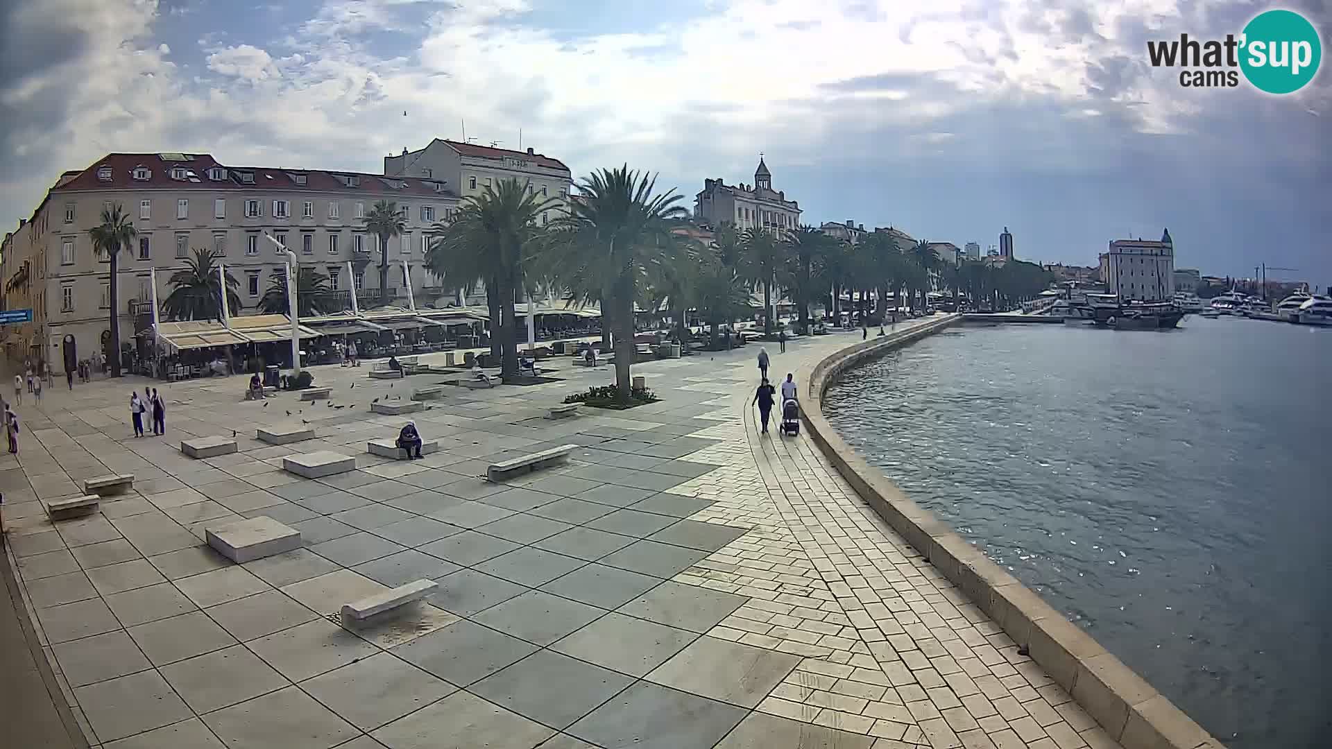 Webcam Split Riva – Prokurative | Trg Republike