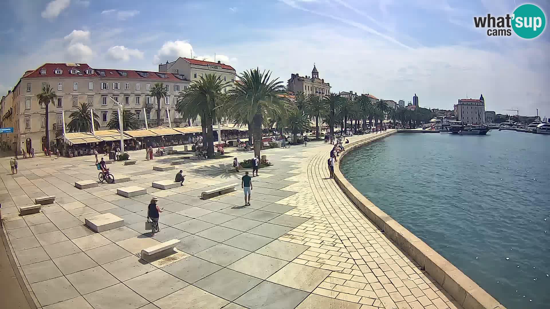 Webcam Split Riva – Prokurative | Trg Republike