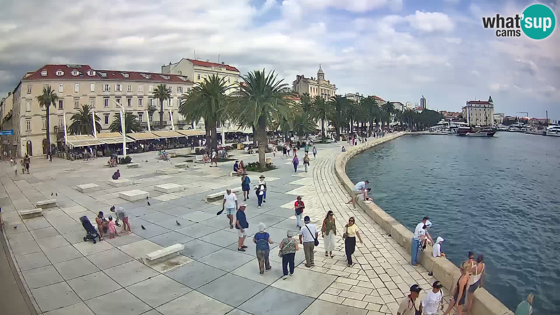 Webcam Split Riva – Prokurative | Trg Republike