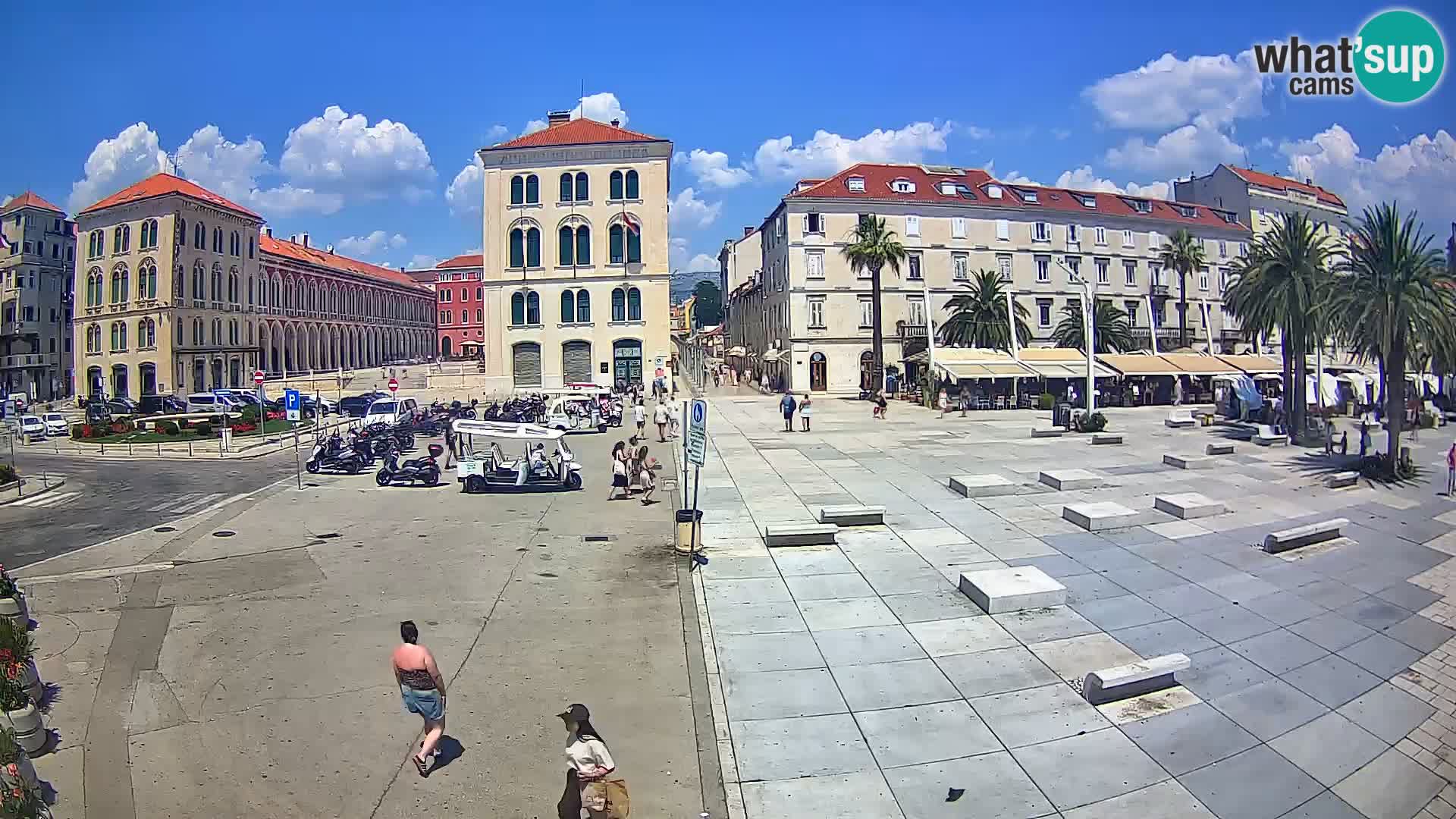 Webcam Split Riva – Prokurative | Trg Republike