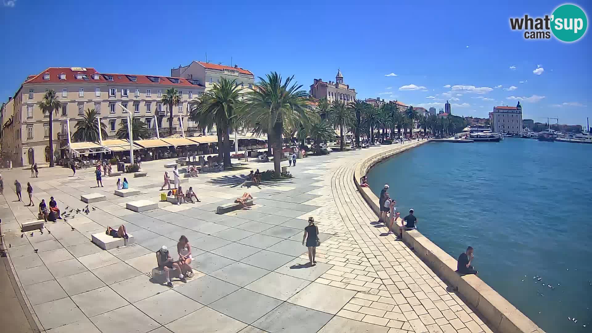 Webcam Split Riva – Prokurative | Trg Republike