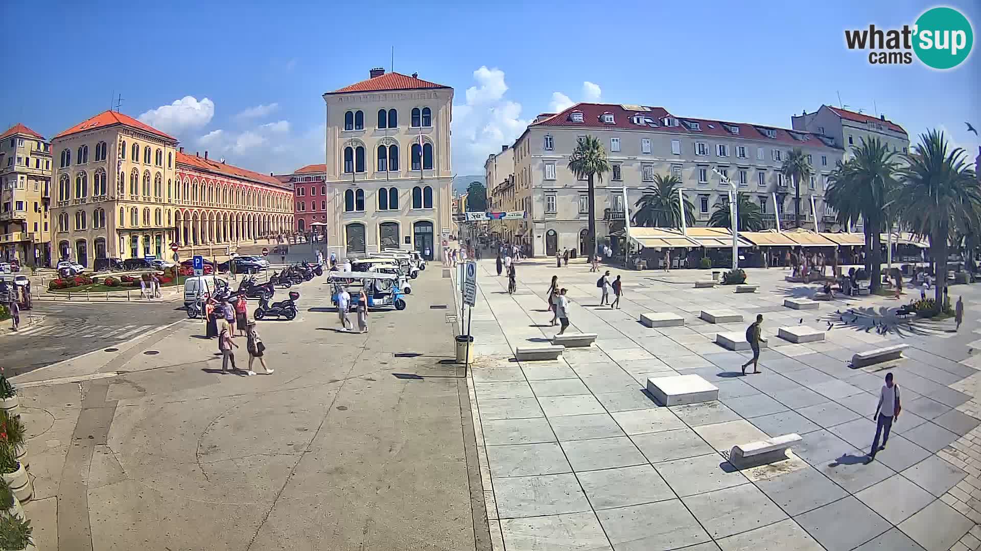 Webcam Split Riva – Prokurative | Trg Republike