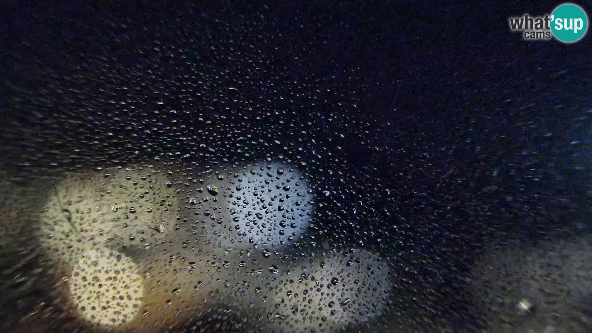 Camera en vivo Susak