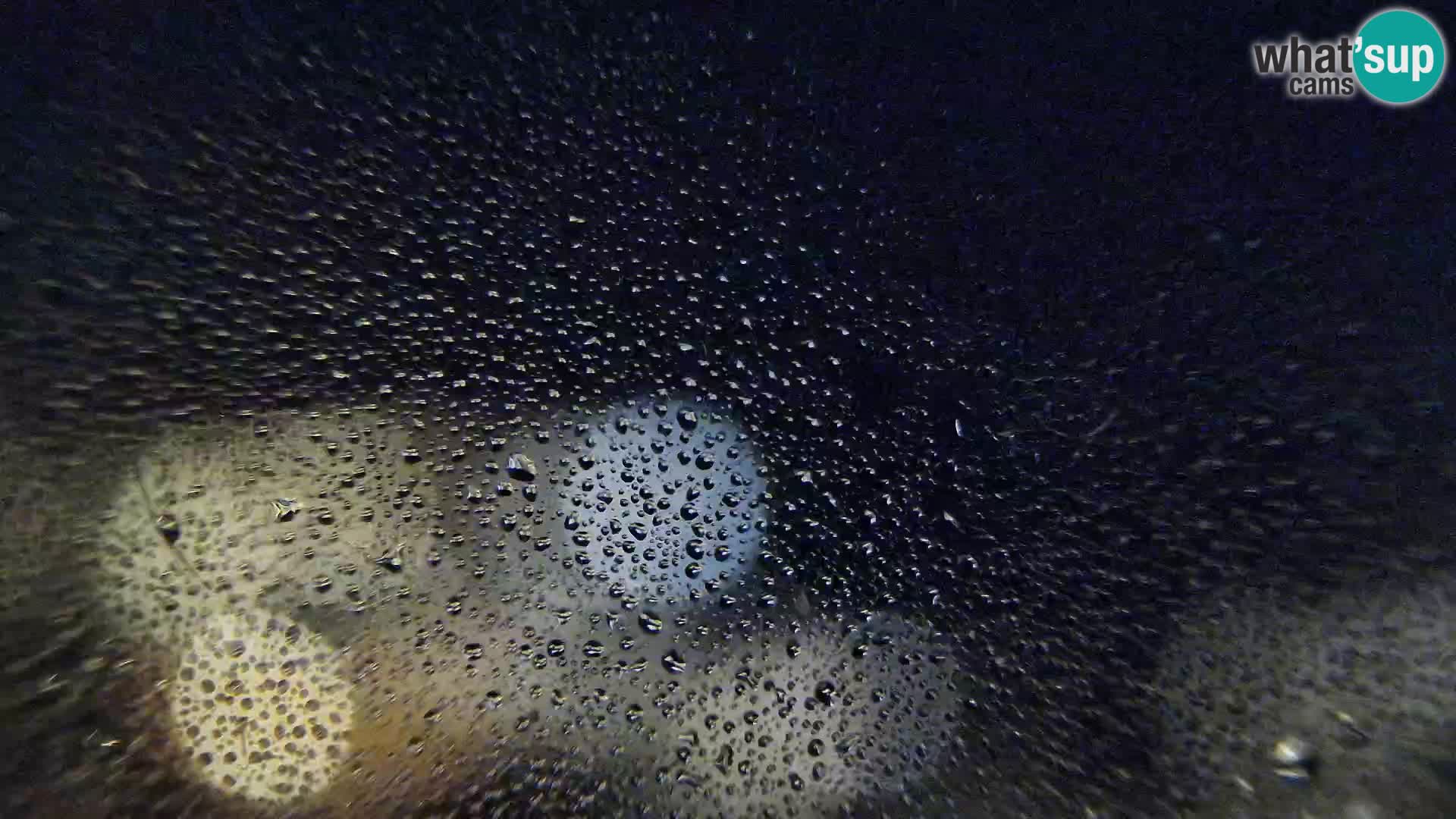 Spletna kamera Susak