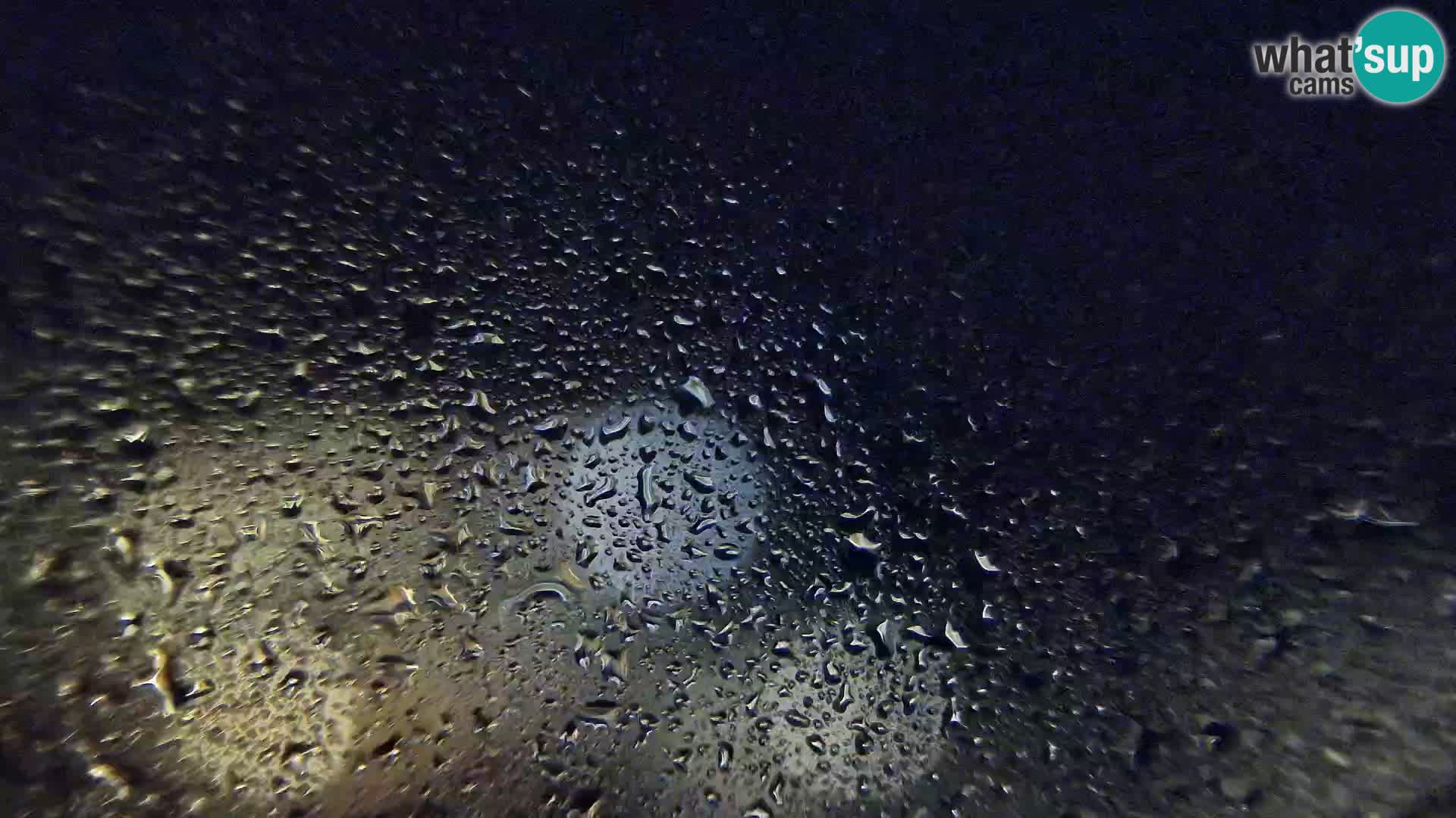 Webcam Susak – Island