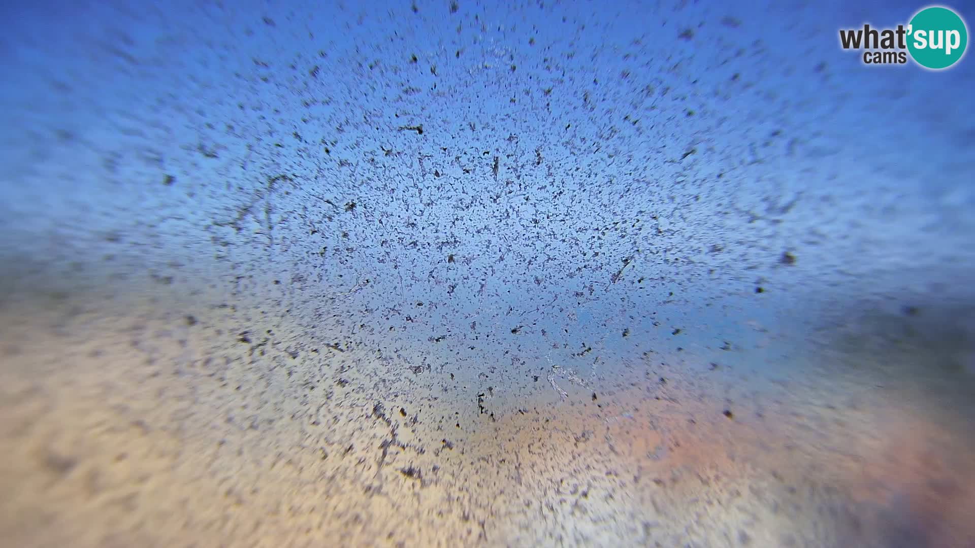 Camera en vivo Susak