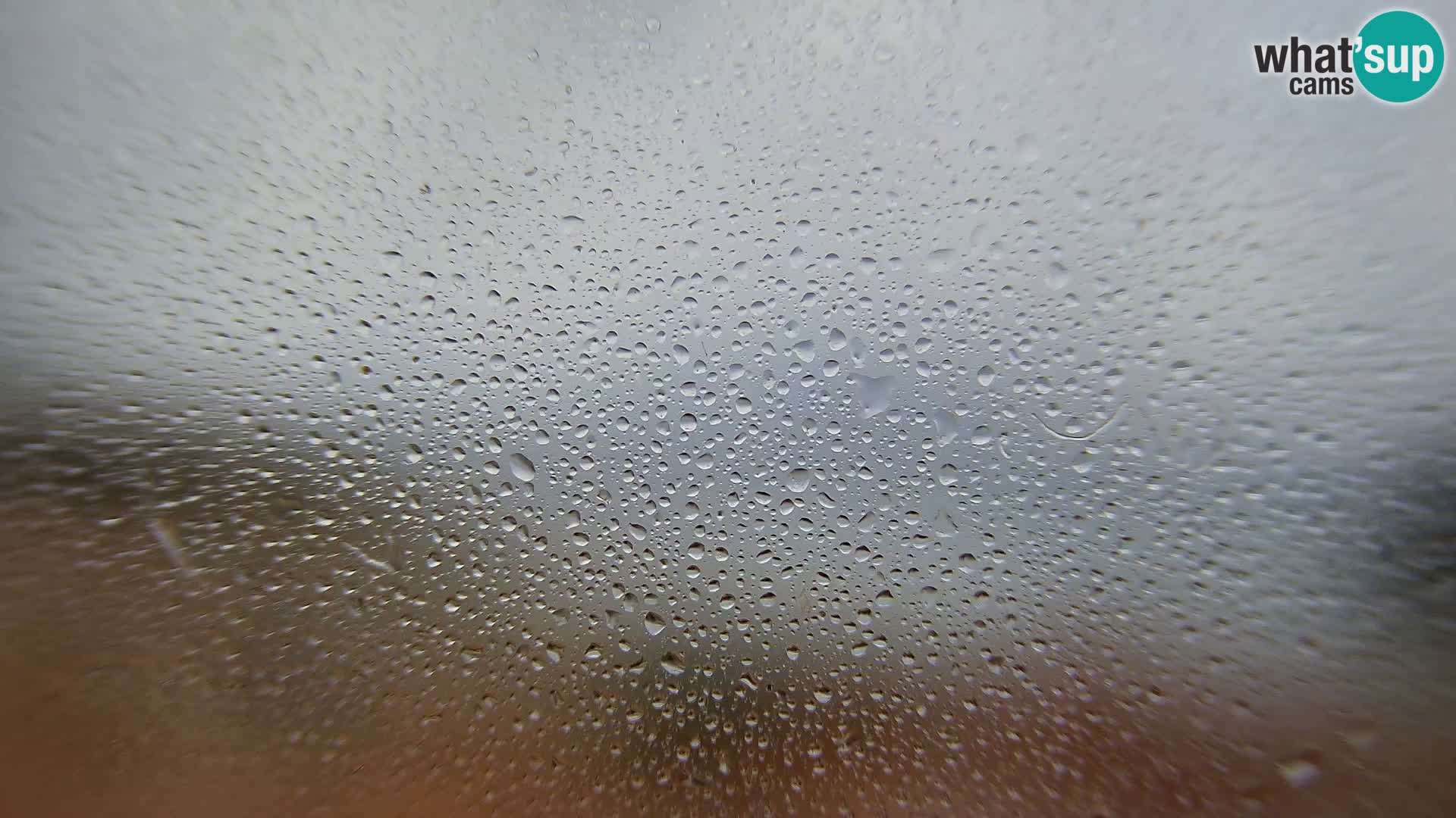 Webkamera - Susak (Susak)