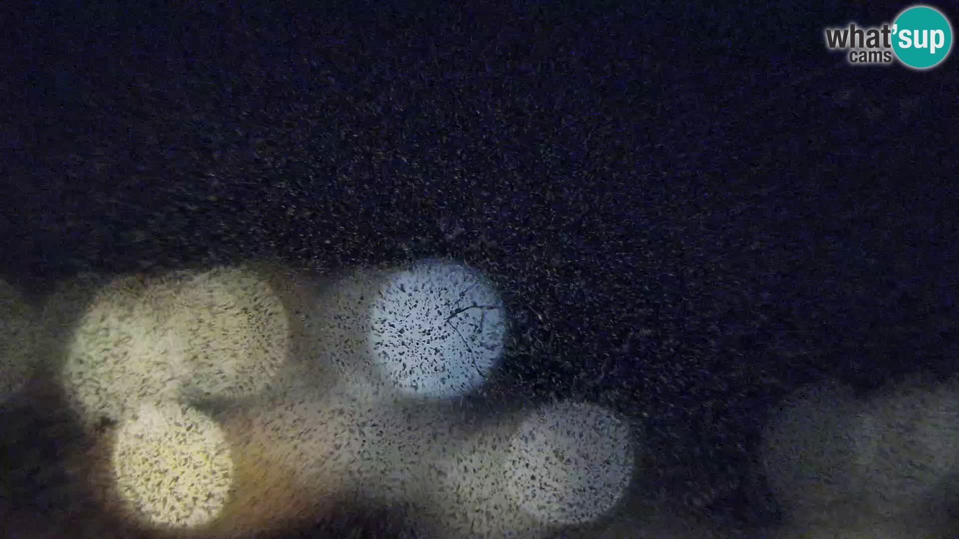 Webkamera - Susak (Susak)