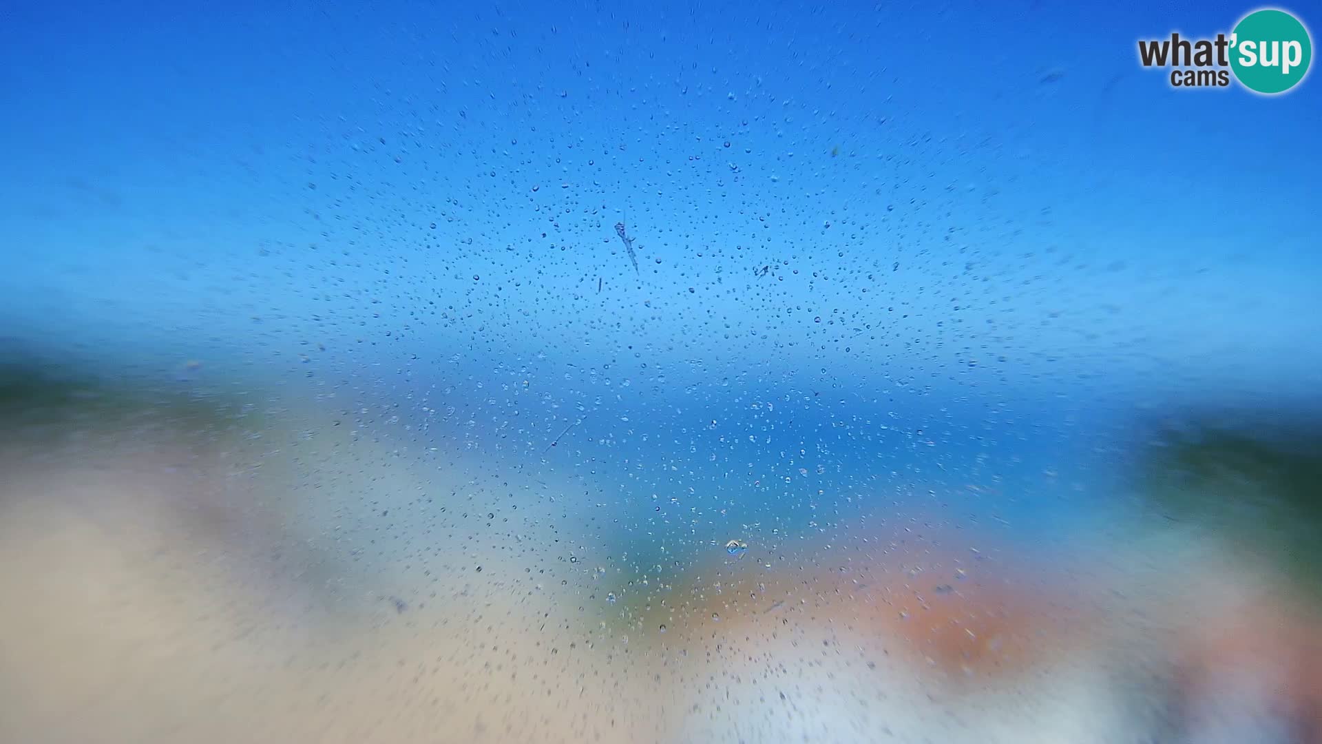 Webcam - Susak (Susak)