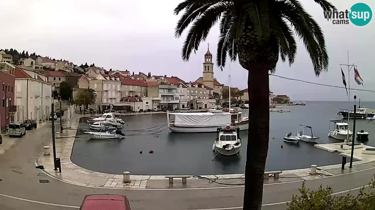 Kamera v živo Sutivan – otok Brač