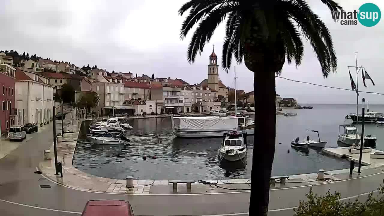 Kamera v živo Sutivan – otok Brač