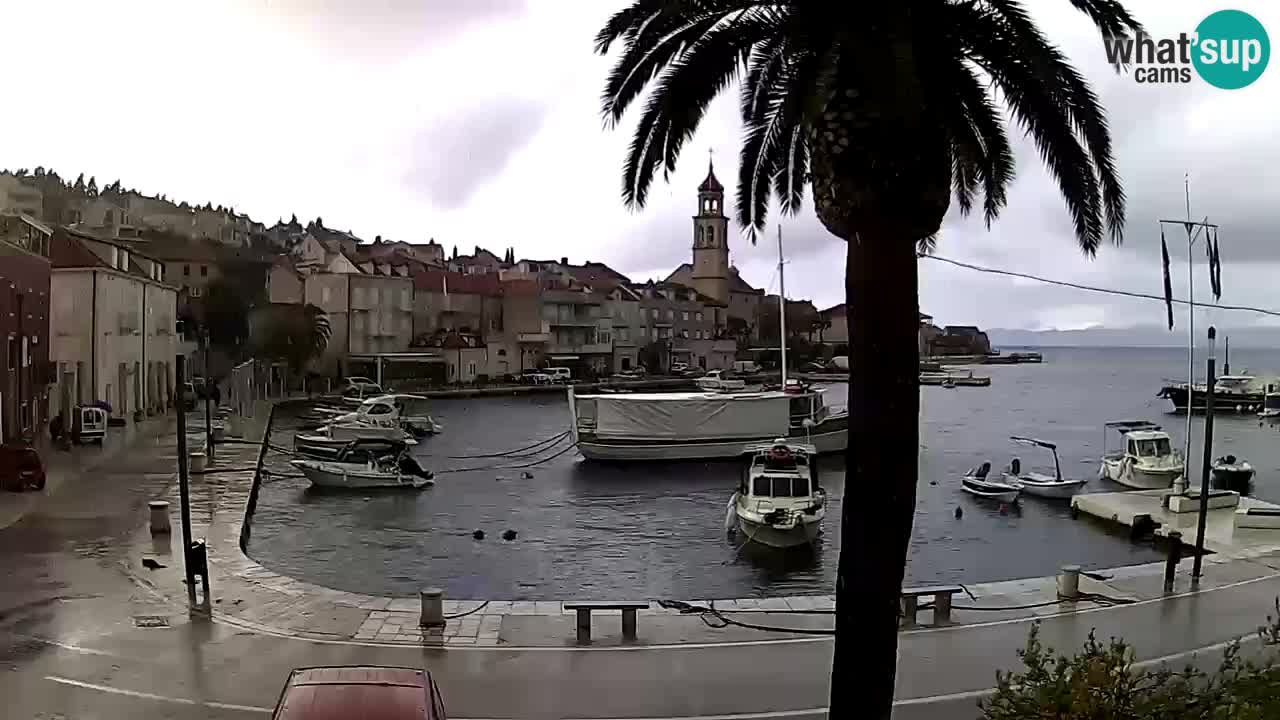 Webcam San Giovanni di Brazza – isola di Brazza