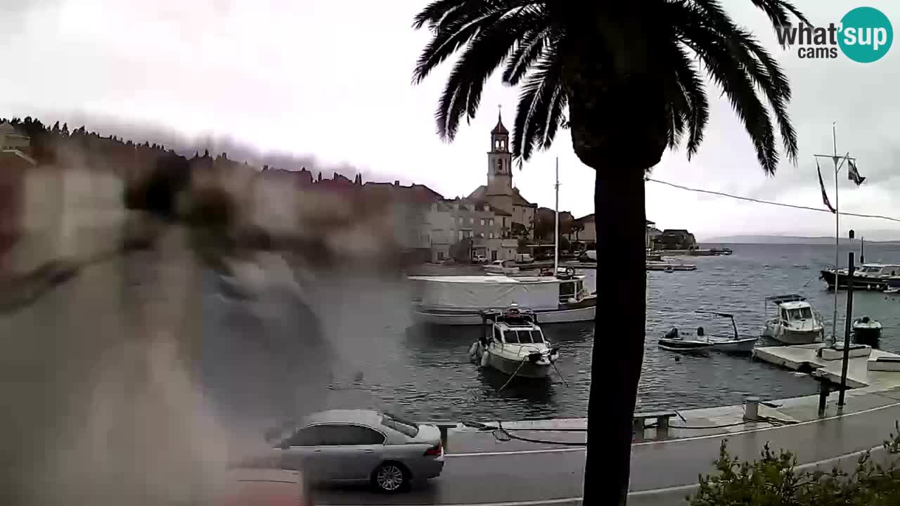 Wecam live Sutivan – Brač