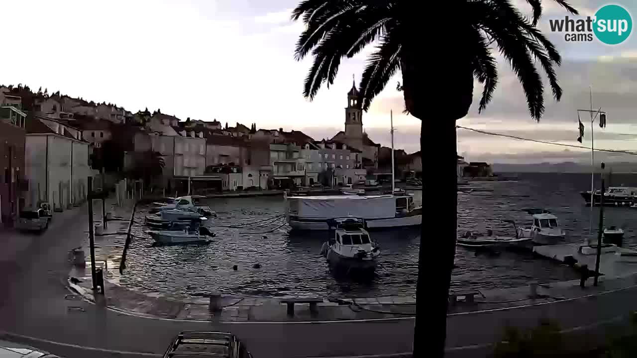 Webcam San Giovanni di Brazza – isola di Brazza