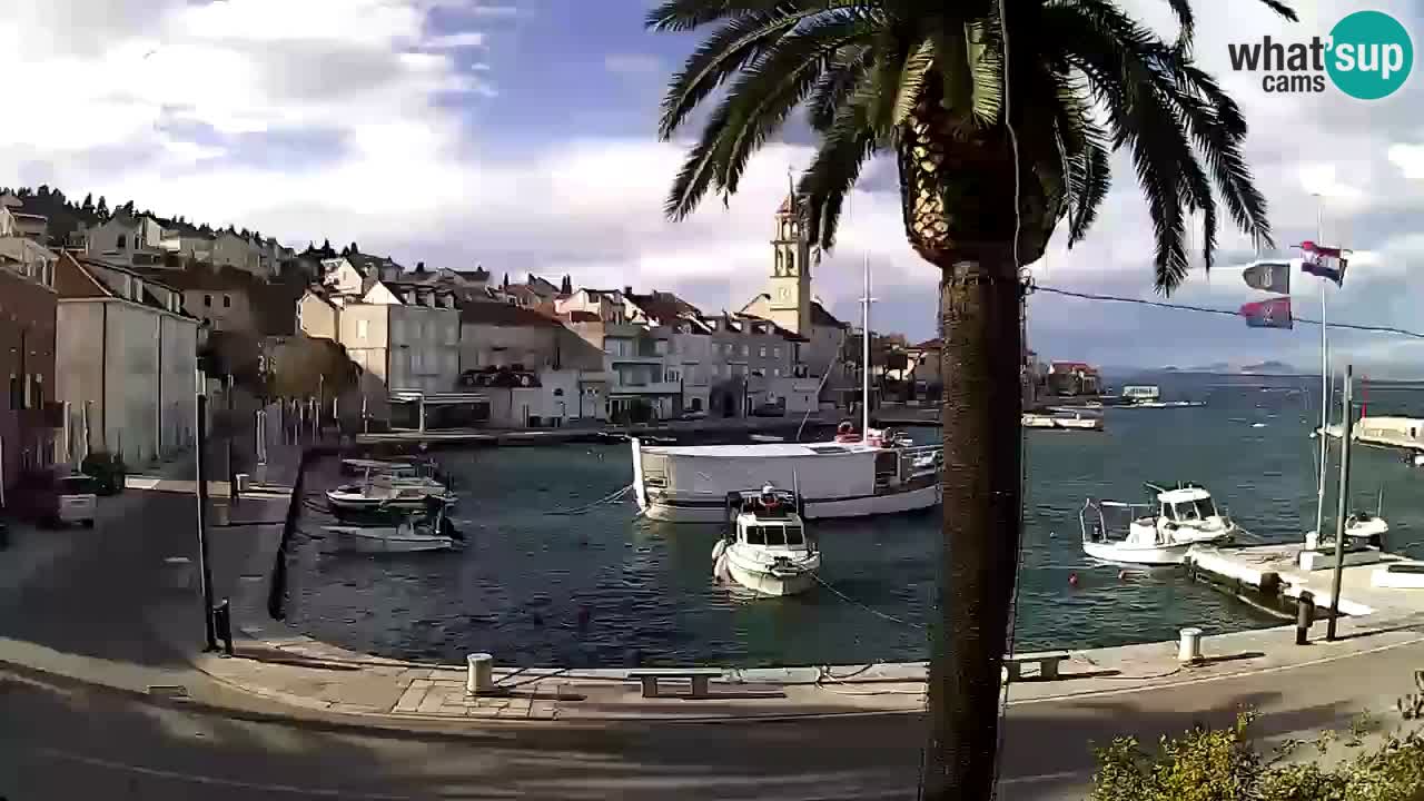 Webcam San Giovanni di Brazza – isola di Brazza