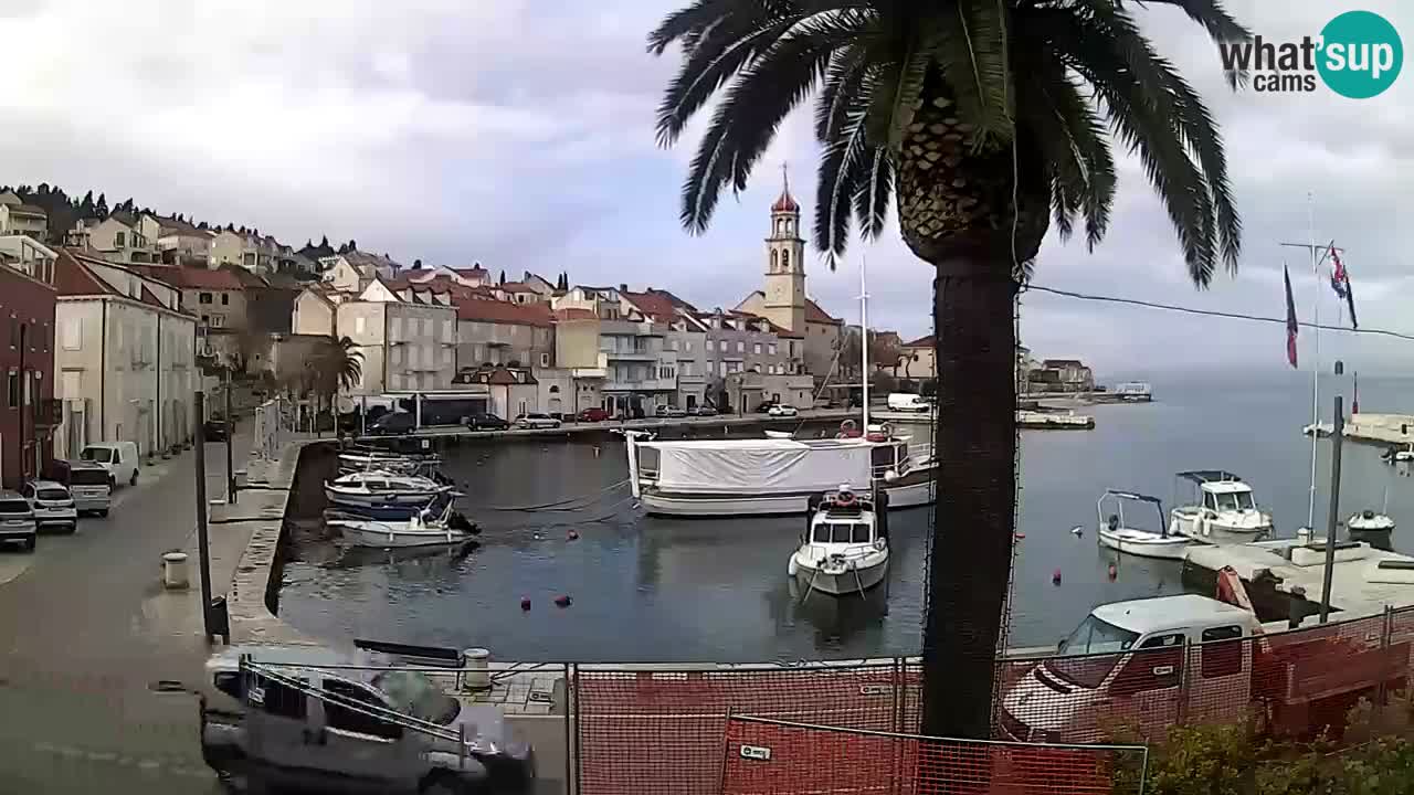 Webcam San Giovanni di Brazza – isola di Brazza