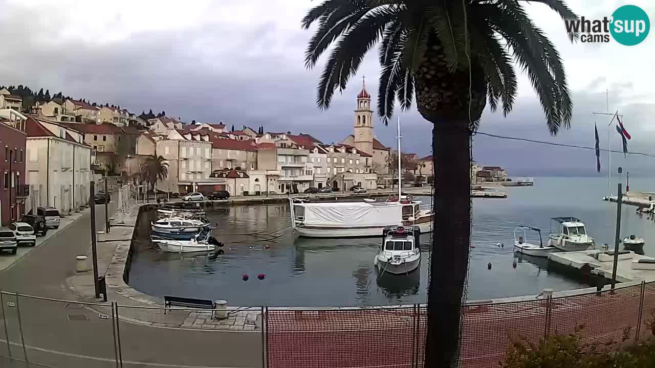 Kamera v živo Sutivan – otok Brač