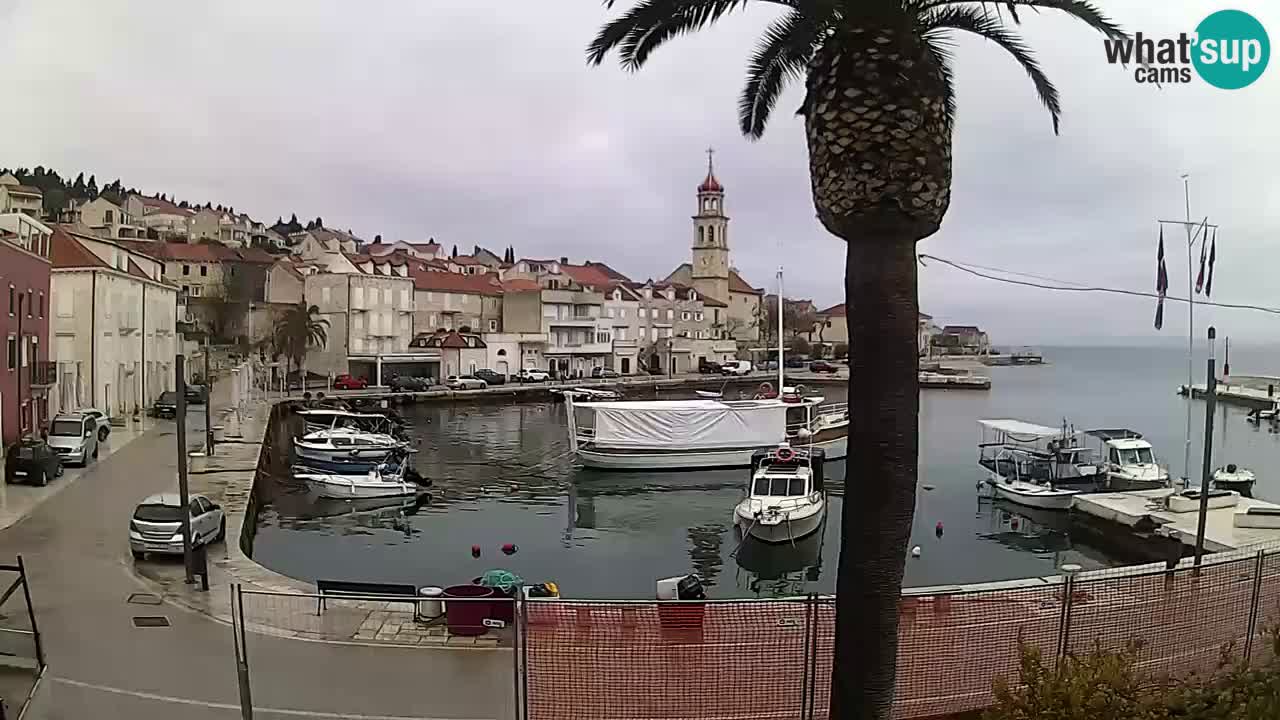 Kamera v živo Sutivan – otok Brač