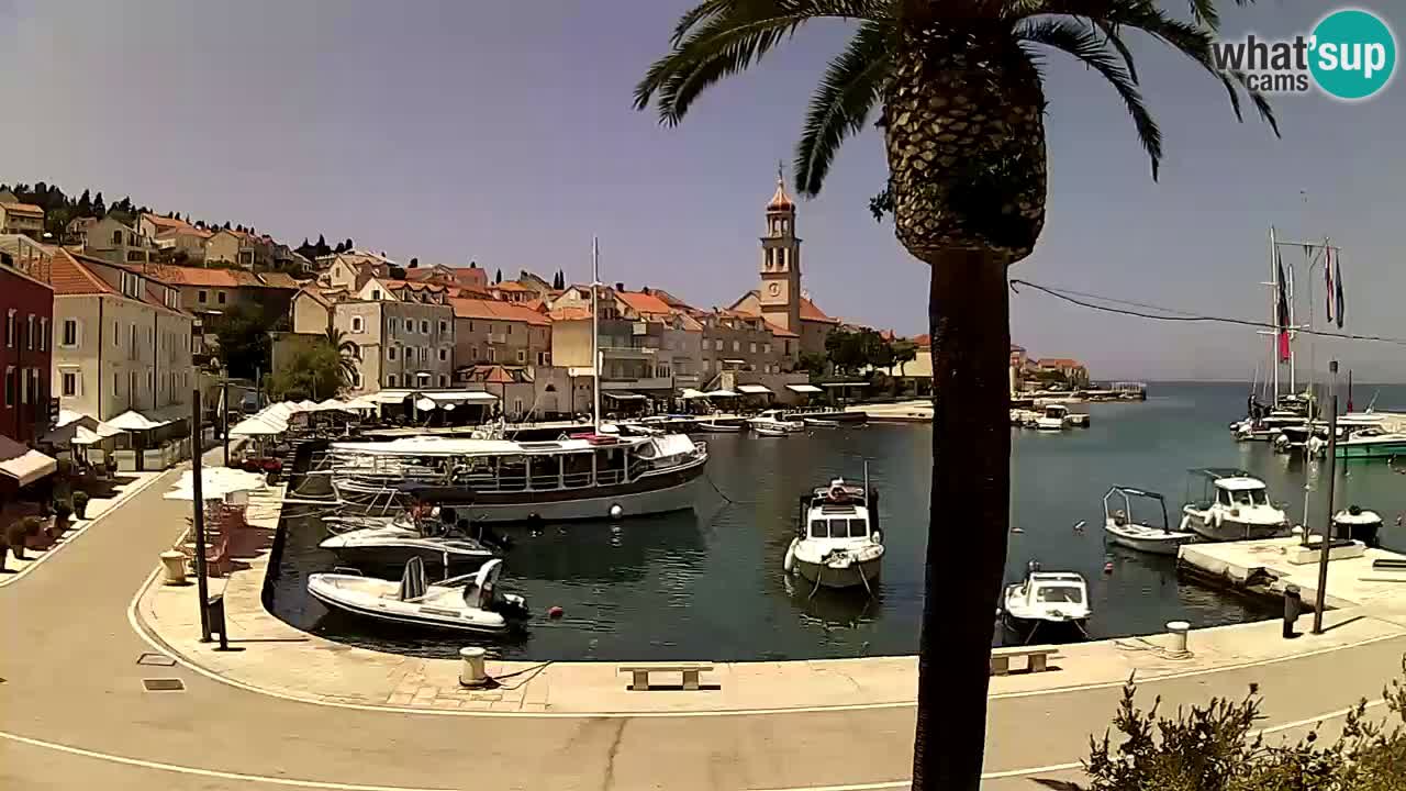 Webcam Sutivan – Brač island