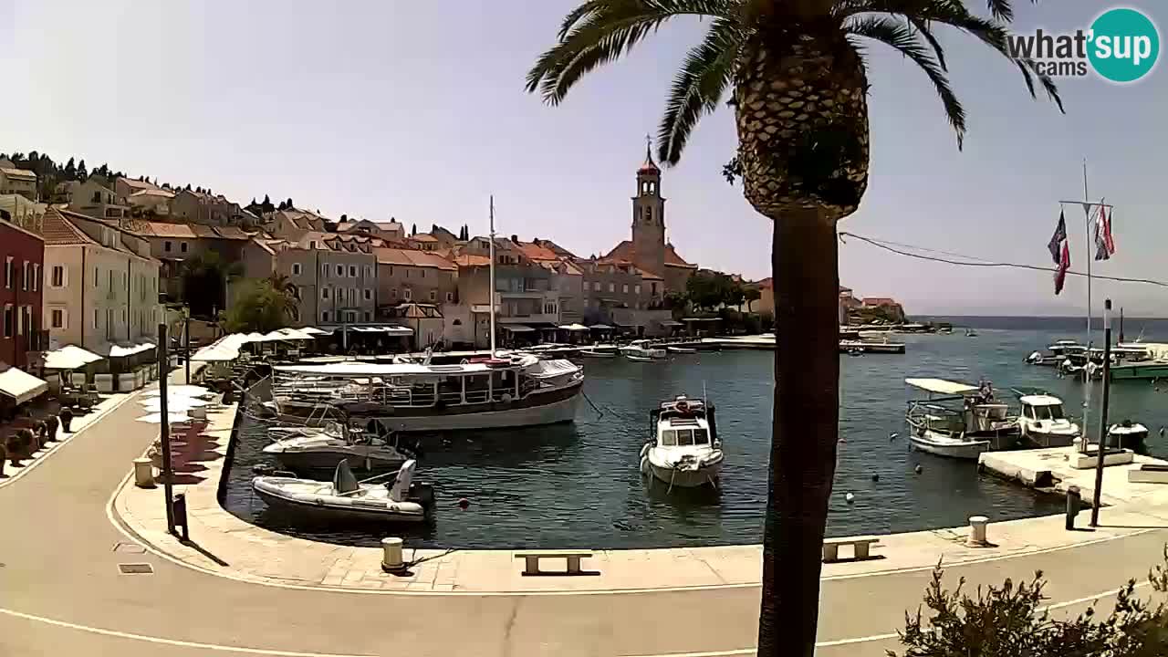 Webcam Sutivan – Brač island