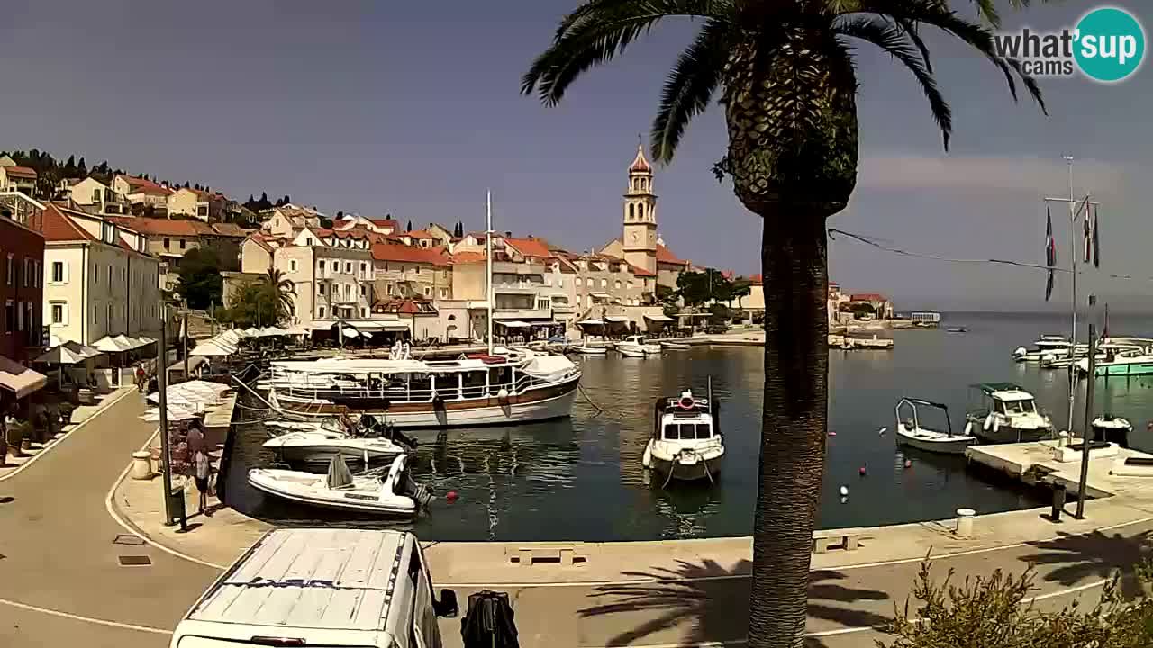 Webcam Sutivan – Brač island