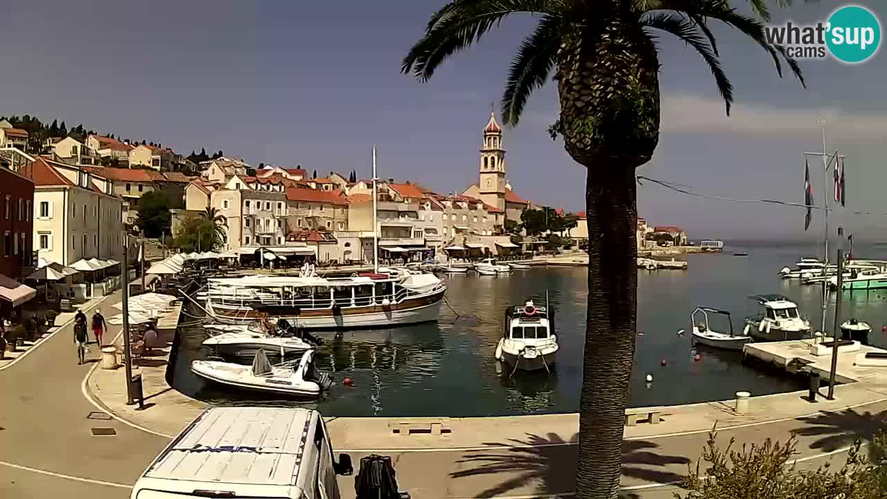 Wecam live Sutivan – Brač Insel