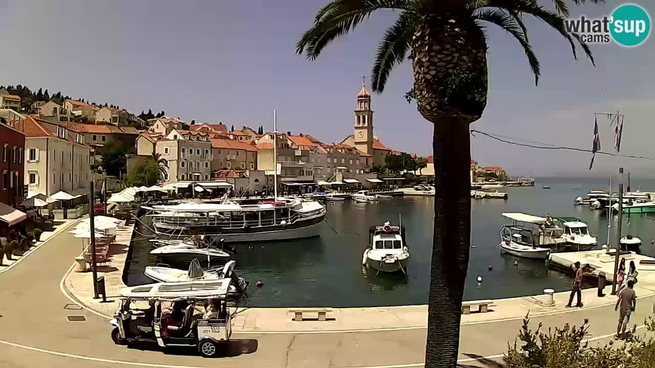 Kamera v živo Sutivan – otok Brač