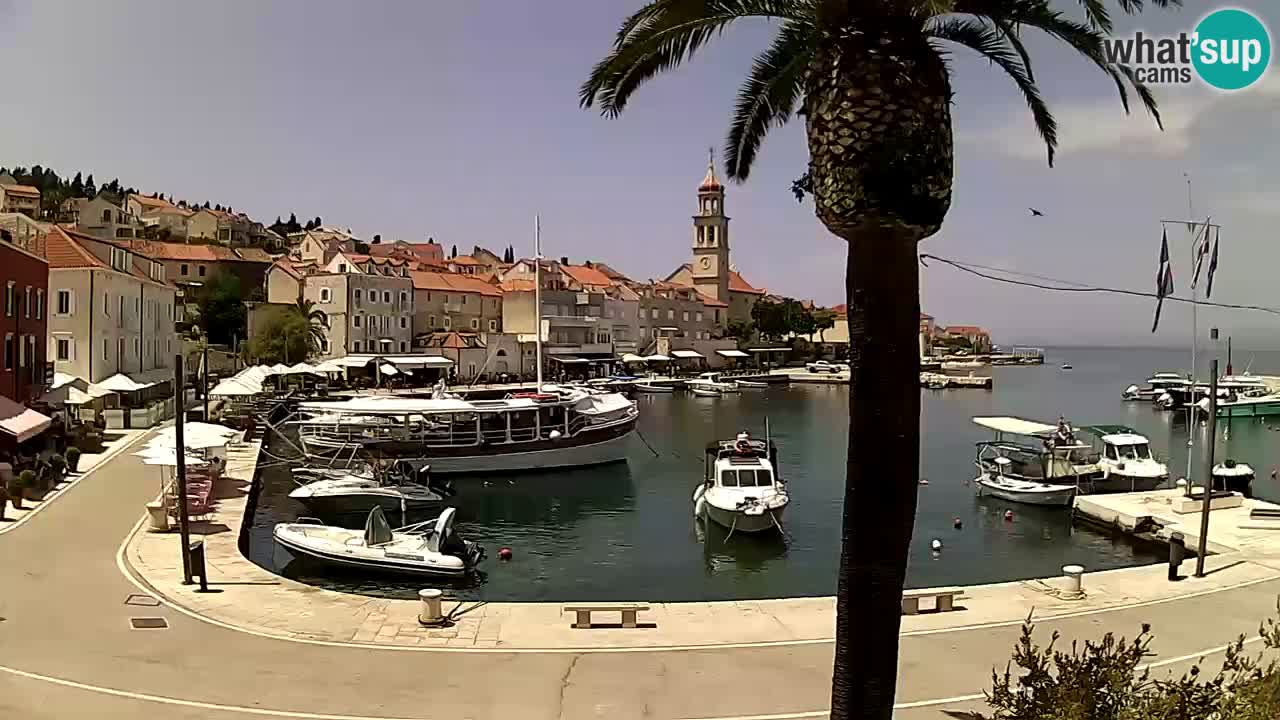 Webcam San Giovanni di Brazza – isola di Brazza