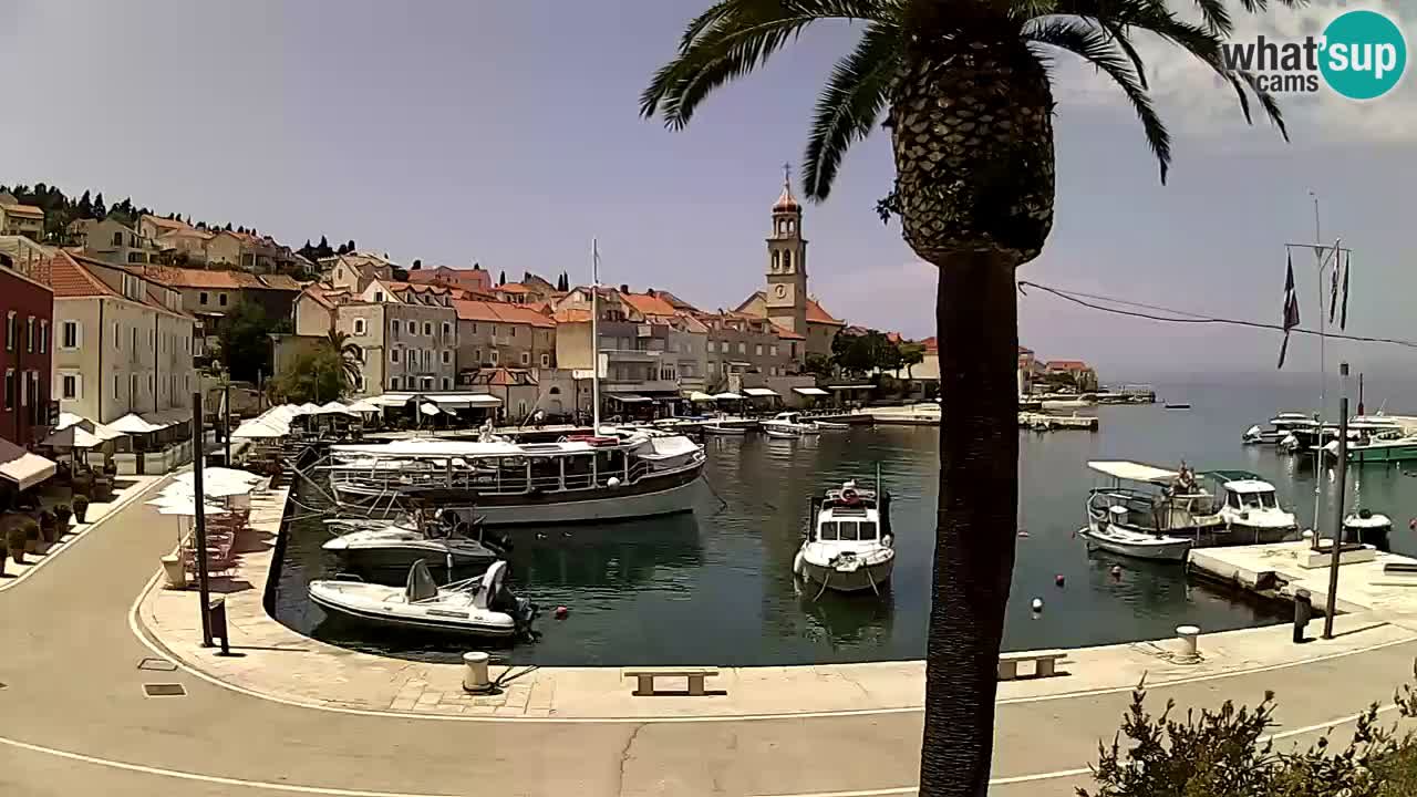Webcam San Giovanni di Brazza – isola di Brazza