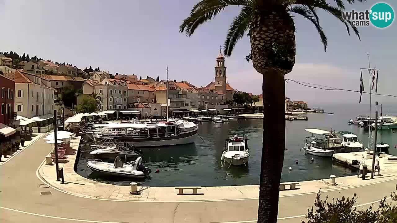 Webcam San Giovanni di Brazza – isola di Brazza