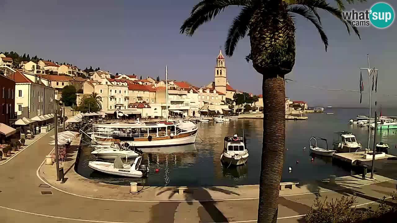 Webcam San Giovanni di Brazza – isola di Brazza
