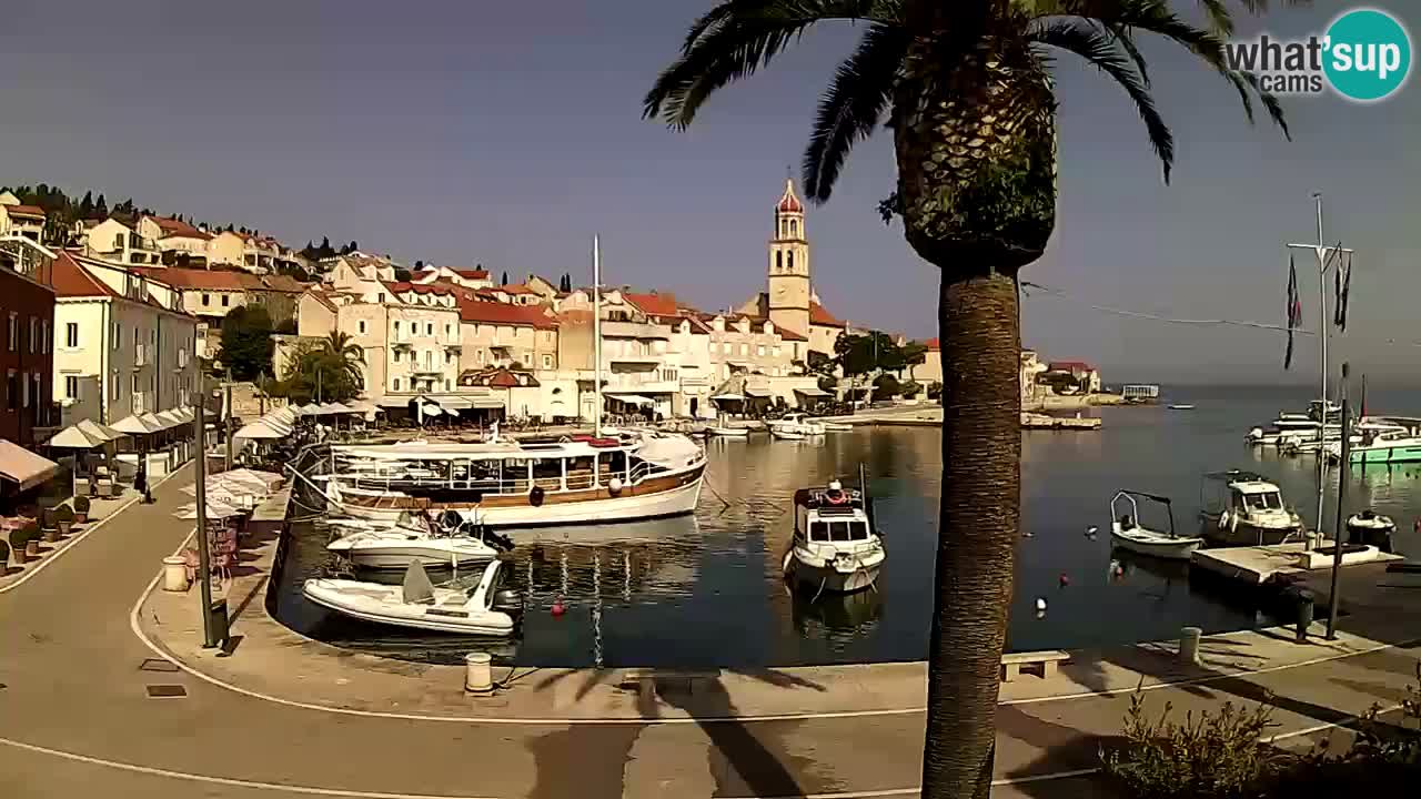 Wecam live Sutivan – Brač