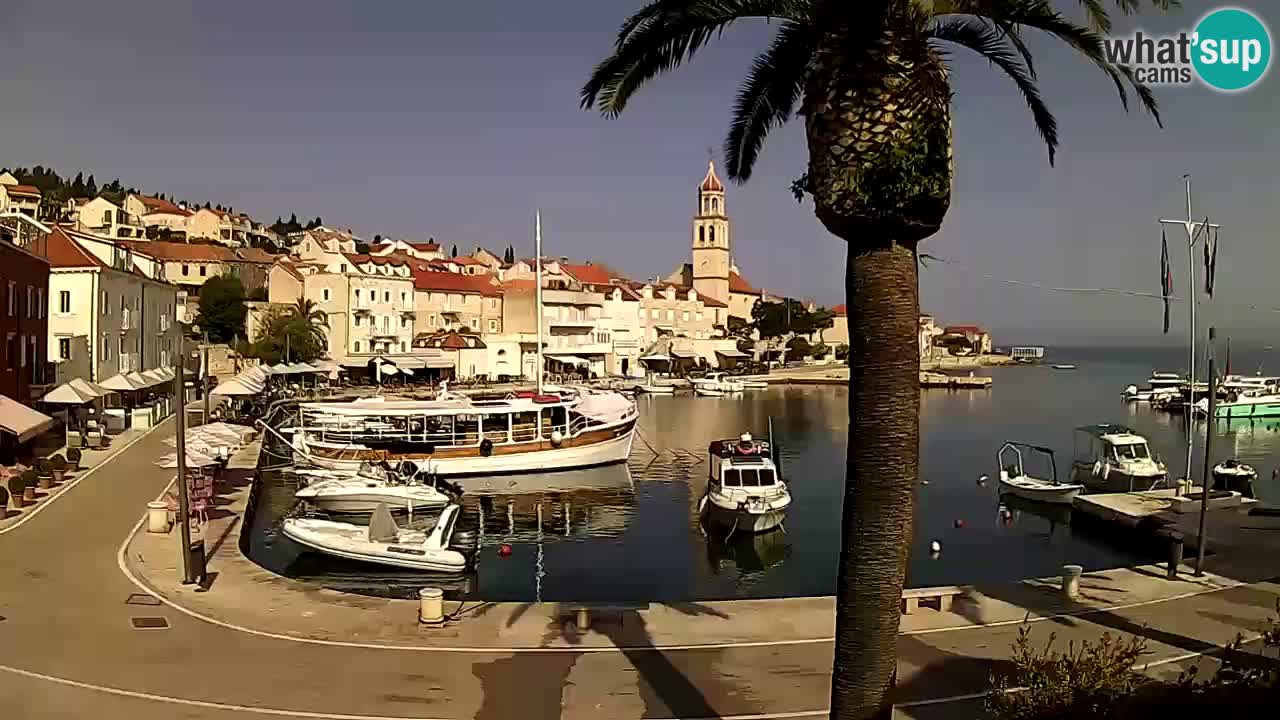Webcam San Giovanni di Brazza – isola di Brazza