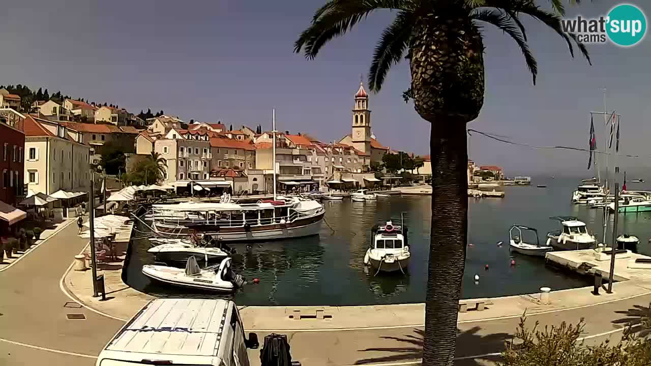 Web kamera Sutivan – otok Brač